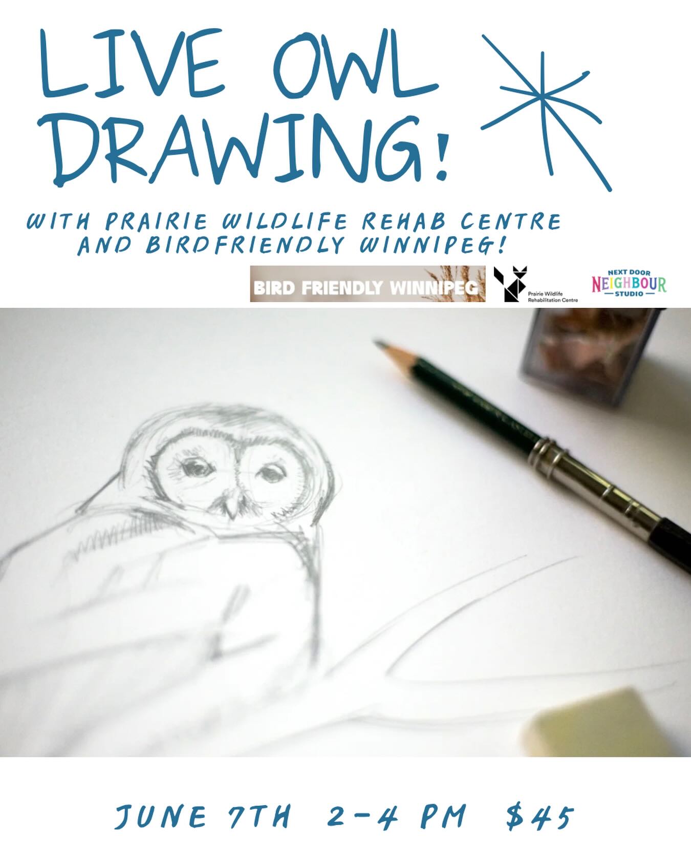 In collaboration with @birdfriendlywinnipeg and @prairie_wildlife_rehab_centre , Nextdoor Neighbour Studio will be hosting a live owl drawing session!
An ambassador from PWRC will bring a Great Grey Owl to the studio so you can capture the details up close and personal. You’ll be able to sketch and draw in a few different mediums such as graphite, soft/oil pastel, charcoal and watercolour, all supplies provided by our studio.
All skill levels welcome! An instructor will be present to help guide you through the live drawing. Register under the workshops tab at NextDoorNeighbourStudio.com
*Please note - kids 12 and under MUST be accompanied by an adult for the duration of the workshop. We’d like to keep the environment calm for the owl’s comfortability. Thanks for your understanding!