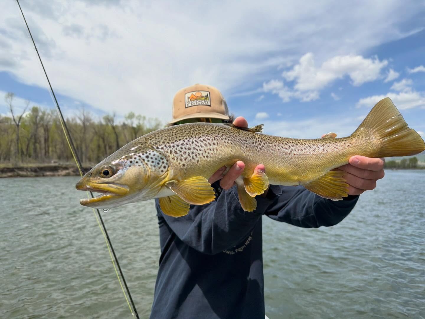 Fishing lately has been nothing short of incredible. Healthy cutthroat, beautiful browns, hard-fighting rainbows, bent rods, and good company — the rivers have been showing off. With summer quickly approaching, now’s the perfect time to get a trip on the books with the crew at Western River Anglers. 🎣
Whether you’re brand new to fly fishing or chasing the fish of a lifetime, we’d love to get you on the water.
#WesternRiverAnglers #FlyFishing #JacksonHole #WyomingFlyFishing
307-200-7037 Or www.westernriveranglers.com