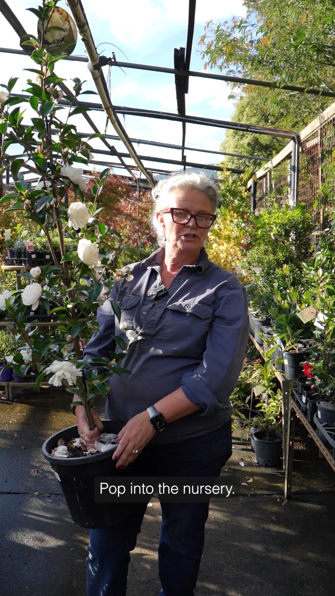 Kate knows her stock better than anyone, so we are always happy to get her front and centre of @macedon_nursery video content.
Getting a client in front of the lens is always a win. When they're a familiar face in the community with decades of experience, the content will always outperform product photography and infographics.
kgmg.com.au/creative-content
#macedon #macedonranges #videography #kgmgcreative