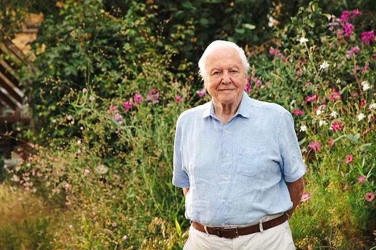 The most influential figure on our screens ever?! 100%
Happy 100th birthday @sirdavidattenborough
#sirdavidattenborough #moortolife