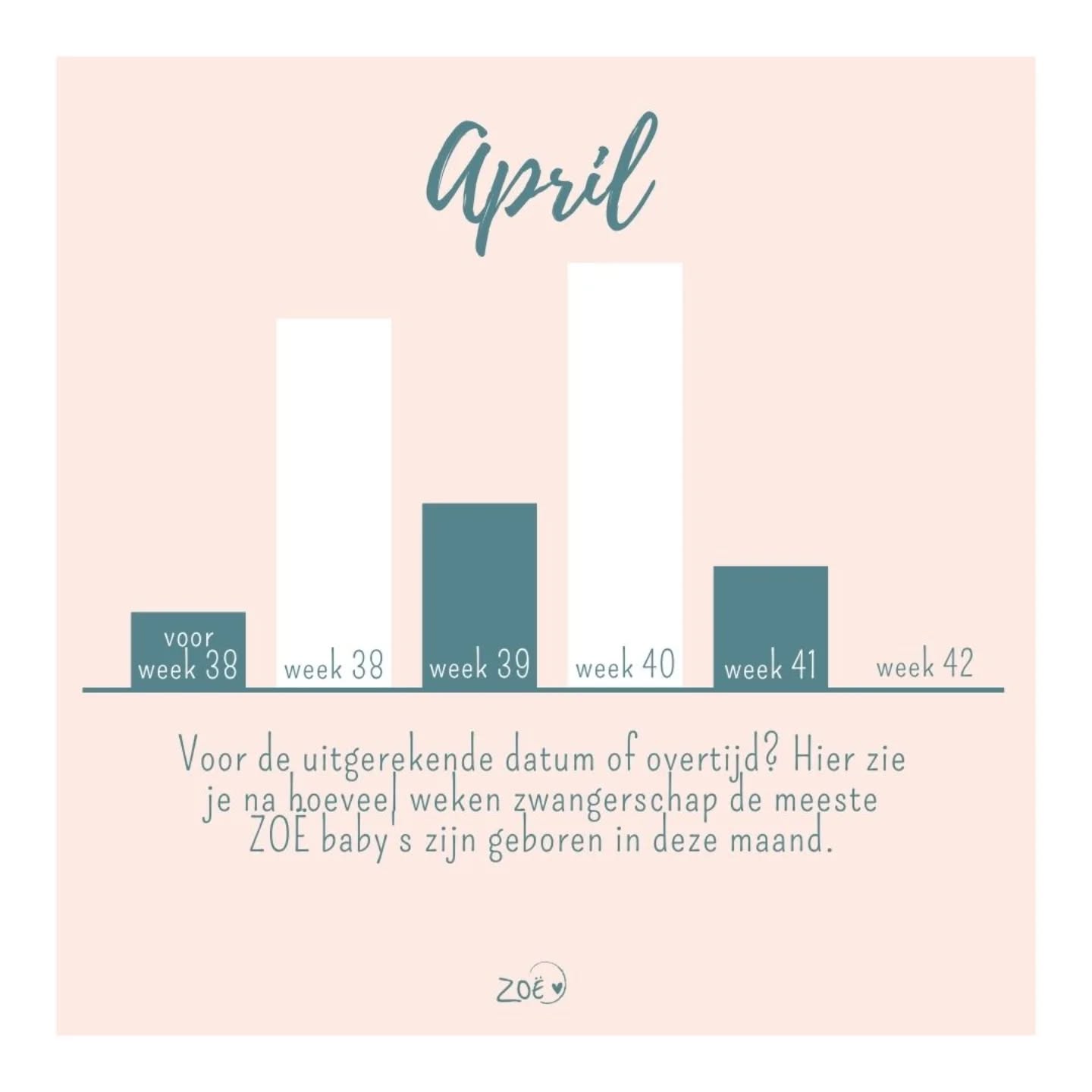 🖤 ZWANGERSCHAPSDUUR 🖤
Afgelopen maand werden opvallend veel baby's geboren tussen de 38-39 weken! De meeste baby's kwamen tussen de 40-41 weken ❤️ Geen enkele baby bleef zitten tot de 42 weken, dat vonden de mama's waarschijnlijk ook wat te laat! 😉