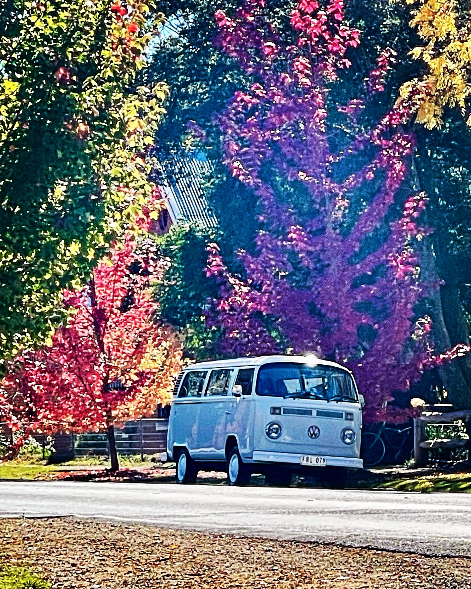 Why be normal when you can be unique!
Our wine tours are anything but normal!
The kombi is only one part of your experience 😊
For a wine tour to remember…get in touch 📞 🤙
#unique #winetour #beunique