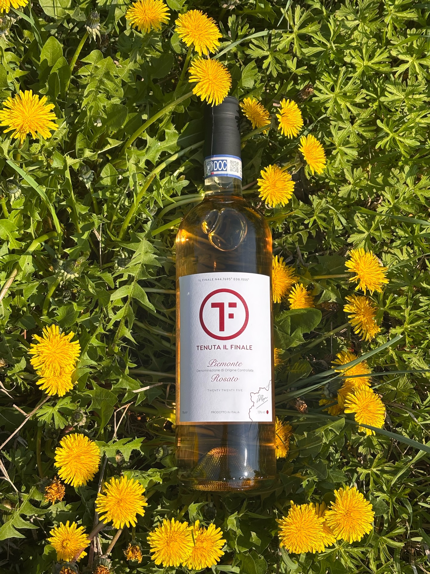 Sustainability isn’t a choice for us. It’s how wine has always been made here in Italy.
In Piemonte, rosato was never created as a “style.” It came from a simple, practical moment during red winemaking — when a small amount of juice is gently drawn off early in the process.
Nothing added. Nothing wasted.
Just a natural way to bring balance to the wine. That juice becomes rosato — fresh, structured, and deeply connected to the craft.
For our first release, we’ve stayed true to place. Made only from Barbera and Dolcetto — the grapes that belong to these hills. They thrive in our soils, which means: less water, fewer treatments, and minimal intervention in the vineyard.
This is sustainability, the way it should be —
not imposed, but inherent.
A new wine for us, but a story that has always existed here.
Our Rosato.
Your perfect Spring wine now available direct from our cellar to your table. Link in bio👆
.
.
#italianwine #italy #Sustainability #piemonte #wine