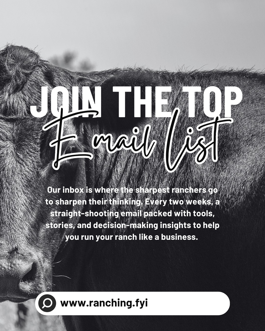 Social media gives you pieces. Email gives you the full picture. If you’ve gotten value here… you’re only seeing a fraction of it.
That’s why we love email.
No algorithms. No missed posts.
Just straight, usable insight you can apply.
Most ranchers scroll.
A few actually sharpen how they think.
Which one are you?
Drop “EMAIL” below, and we’ll send you the link 👇
Follow @Ranching.FYI and get on the list if you’re serious about making better decisions—not just consuming more content.
#ranchingfyi #sim2win #ranchingeducation #decisionmaking #emaillist