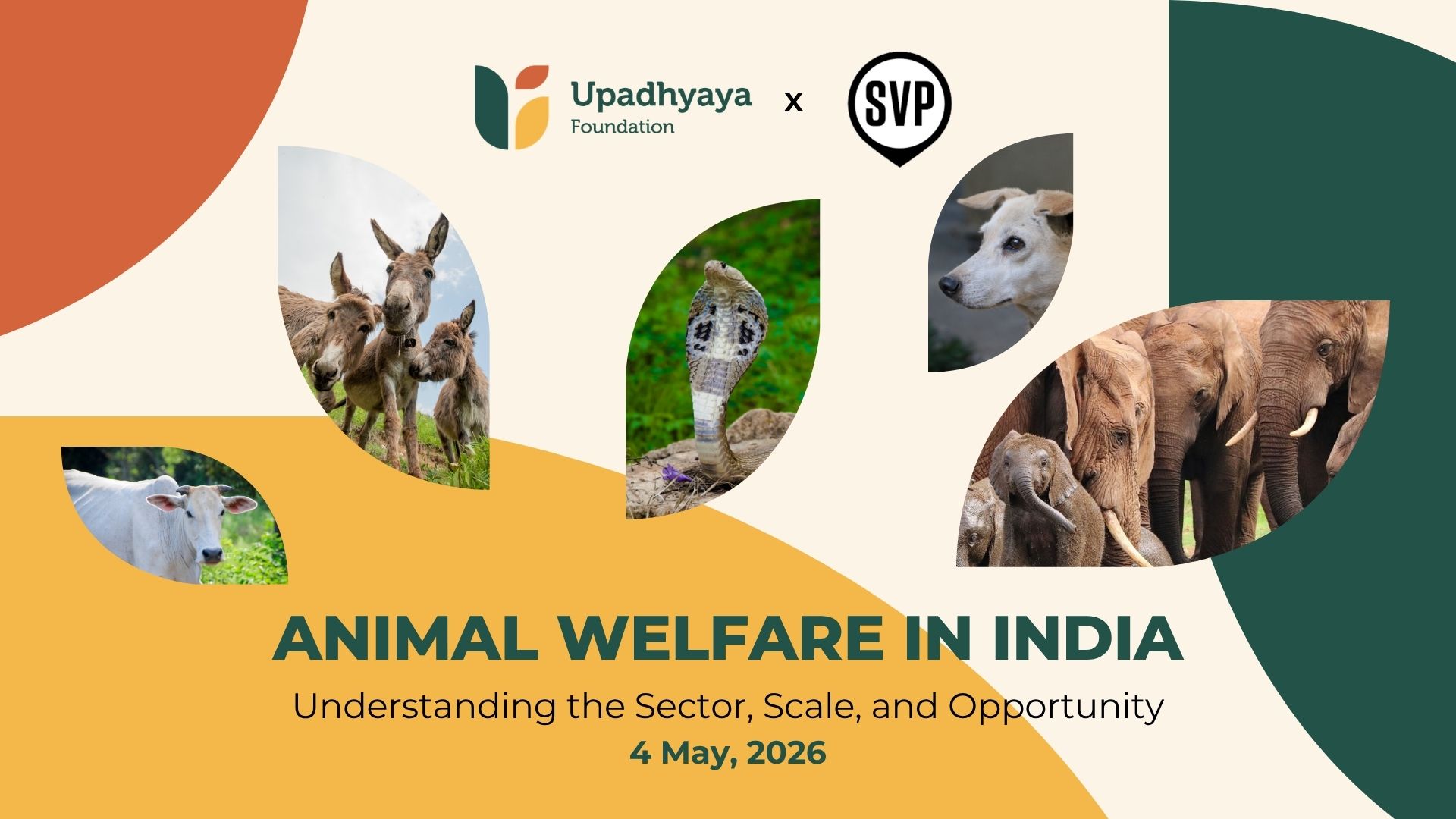 On 4th May 2026, UF had the opportunity to engage with the incredible partners of the @svpindia Mumbai for a conversation on animal welfare in India and what it means in the context of a city like Mumbai.
From public health and biodiversity to waste management, livelihoods, and urban systems, our Founder, Brinda Upadhyaya and Foundation Lead, Siddharth Agarwal, explored how deeply interconnected animal welfare is with the way our cities and societies function, along with the scope of the issue across community animals, farmed animals, wildlife, animals used in testing, fashion, etc.
We were also glad to spotlight the important work being done by some of the NGO partners we work alongside, and to hear from Thane CPCA on their dedicated efforts to treat animals in the Mumbai Metropolitan Region.
A special thank you to SVP Mumbai partner Ruchita Malhotra and her son Viren for their thoughtful and insightful questions, which led to such a rich and engaging conversation around compassion, coexistence, and the future of animal welfare in our cities.
And finally, a heartfelt thank you to Prasad Baji and the entire SVP team for making this conversation possible and for creating space for deeper engagement with the sector.
If you would like to learn more about animal welfare in India and the work happening across the ecosystem, we’d love to connect. Reach out to us to continue the conversation.