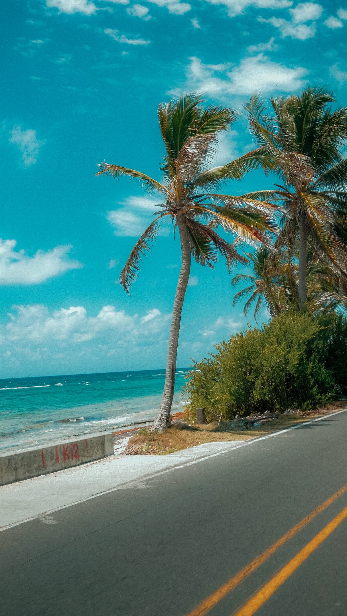 🌴 Imagínate darle la vuelta a la isla con el viento en la cara, música sonando y el mar de los 7 colores acompañándote en cada parada… eso es vivir San Andrés con SeaWolf.
No es solo un tour, es coleccionar momentos, reírte con tus amigos, descubrir spots increíbles y enamorarte más de la isla en cada kilómetro.
¿Listo para vivir la isla de verdad?
#sanandres #colombia #sanandresislas #islasanandres #colombiatravel