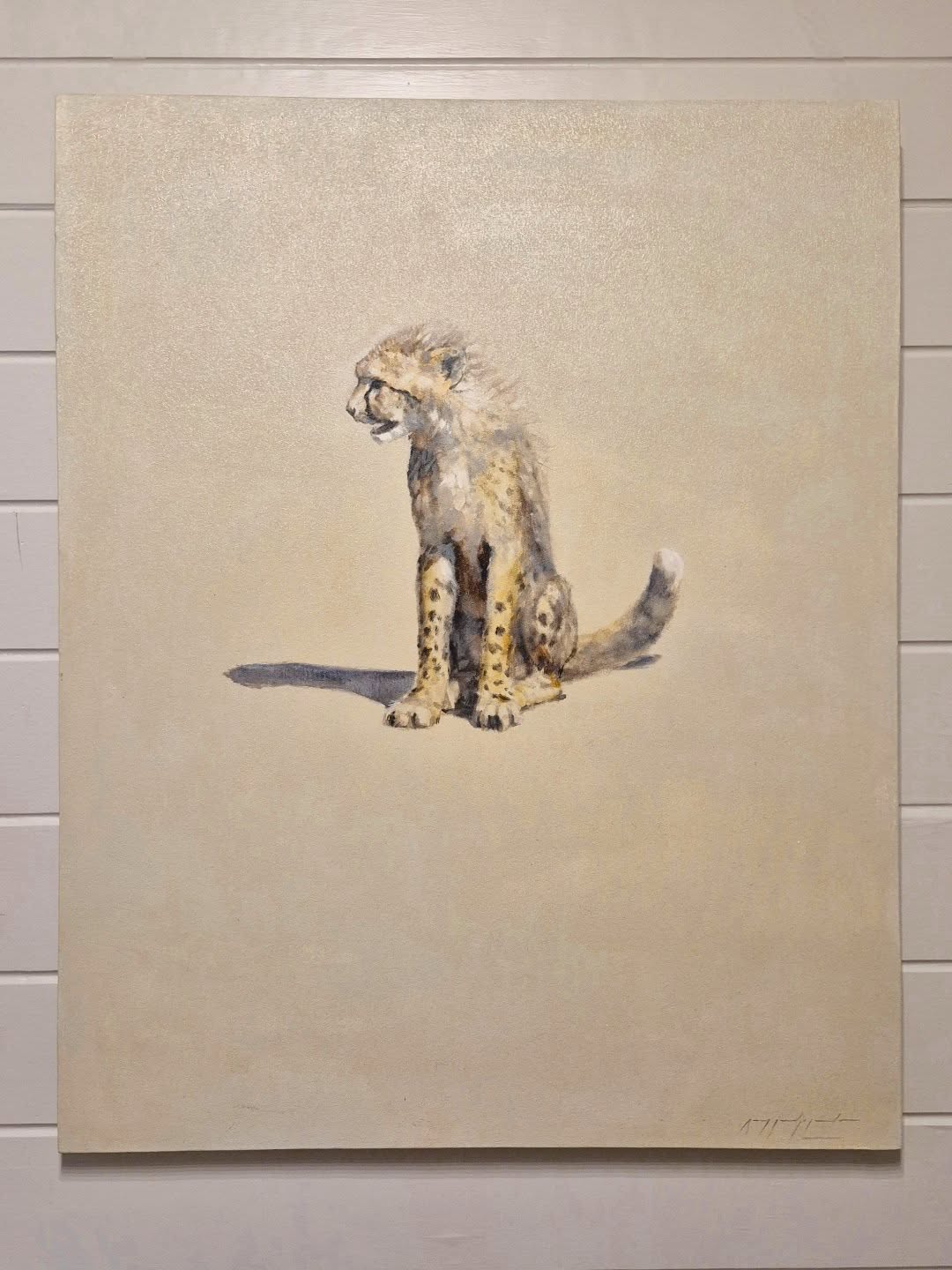 Looking for new paintings for your home or camp? I have a selection of contemporary wildlife and landscape paintings available to buy. Sitting Cheetah work in progress, oil on canvas, 40x30" #oilpaintings #wildlifeart #contemporaryart ##artcollector
