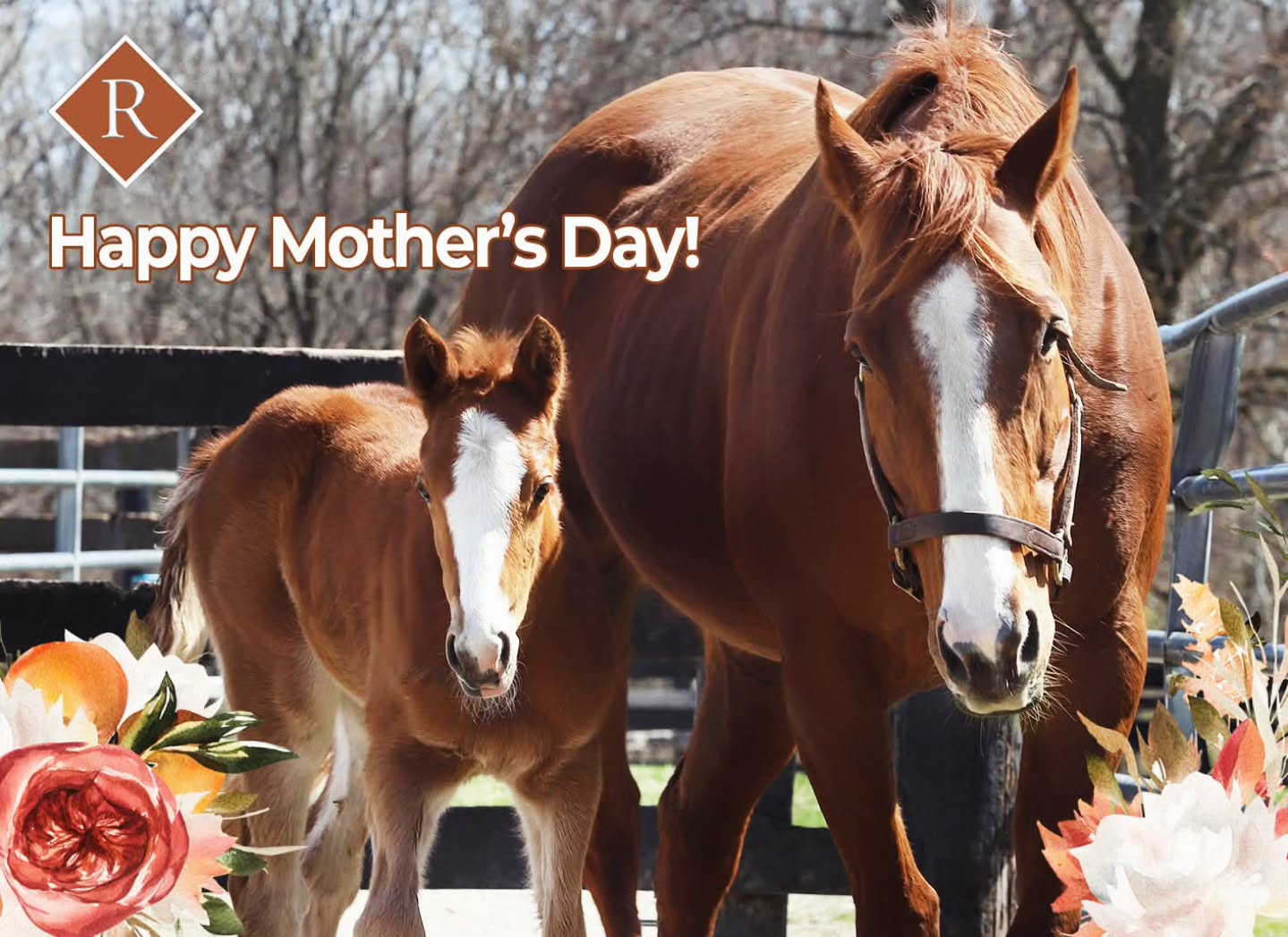 Wishing all moms a wonderful day! 💐💐💐