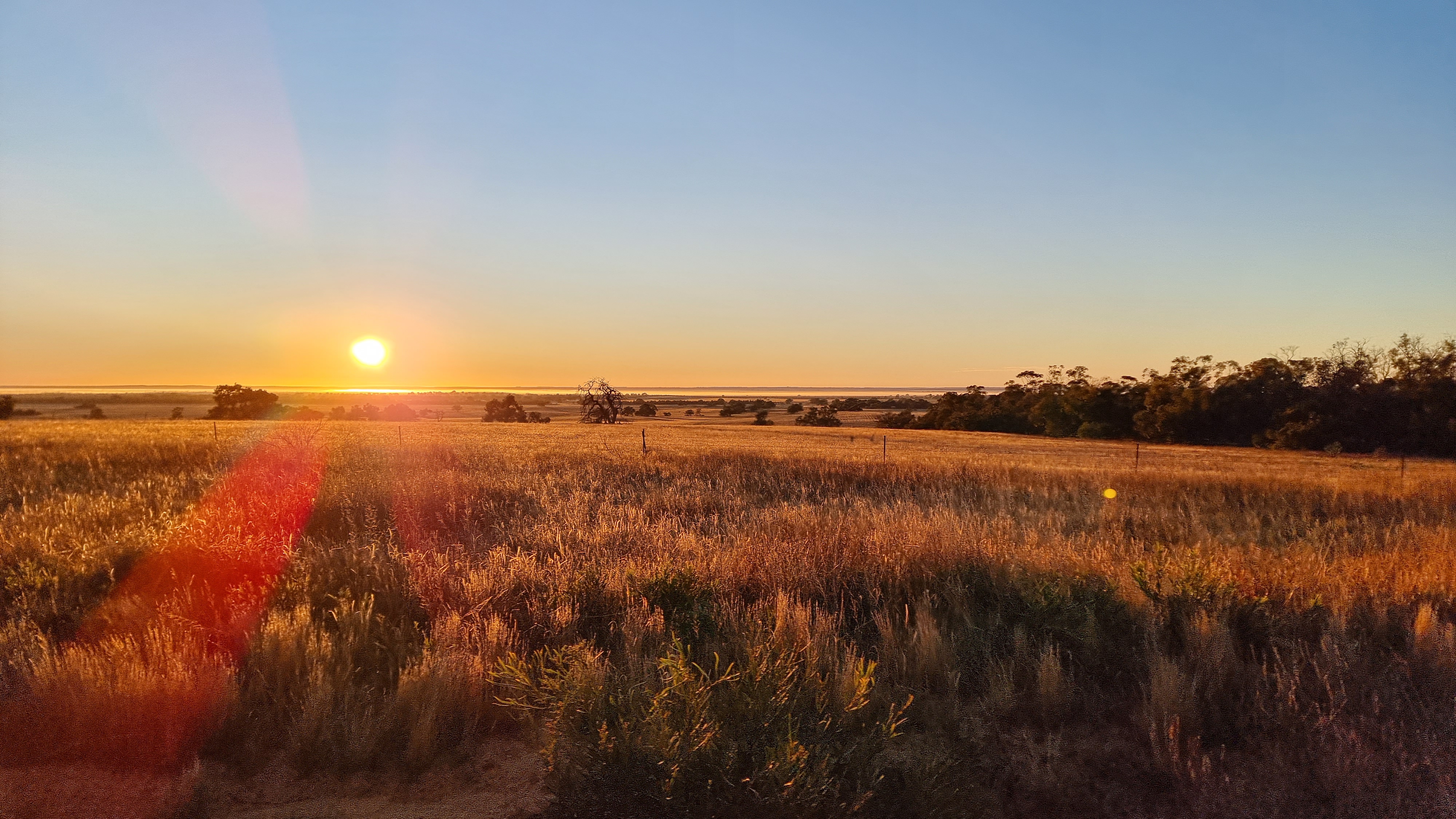 Australia’s landscapes are iconic. From rugged bushland to coastal forests, but they need our help. At All Above Reforestation Australia, we’re committed to restoring native ecosystems, rebuilding habitats, and creating a greener future for generations to come.
Every tree planted is:
A step toward fighting climate change
A home for native wildlife
A boost for soil and water health
A legacy for future Australians
Together, we can regenerate the land, support biodiversity, and strengthen our environment from the ground up.
Join us in making a lasting impact, because reforestation isn’t just about planting trees, it’s about restoring life.
#ReforestationAustralia #PlantNative #RestoreOurLand #ClimateAction #SustainableFuture #AllAboveReforestation