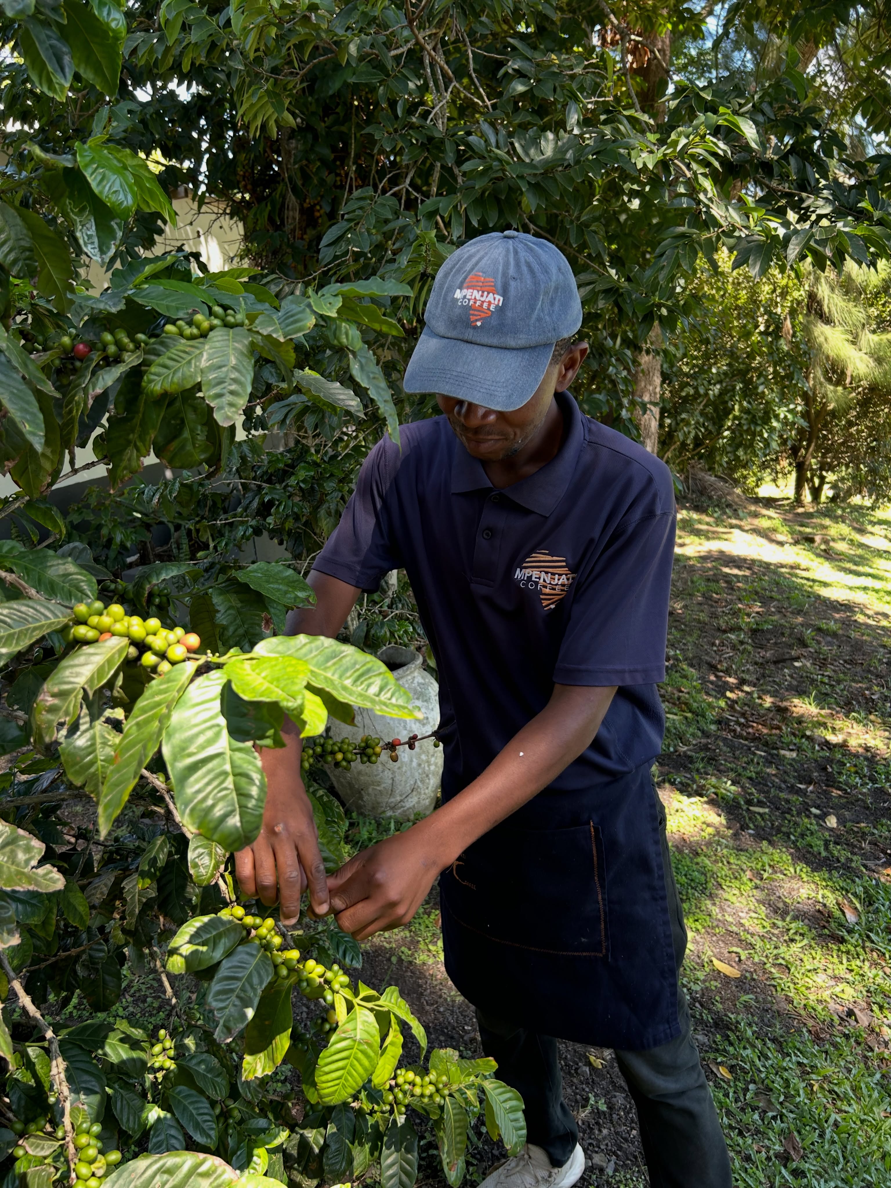 Behind every great cup is a deep love for the process 🌱☕️
#bean #coffee #coffeeshop #kzn #instagood
