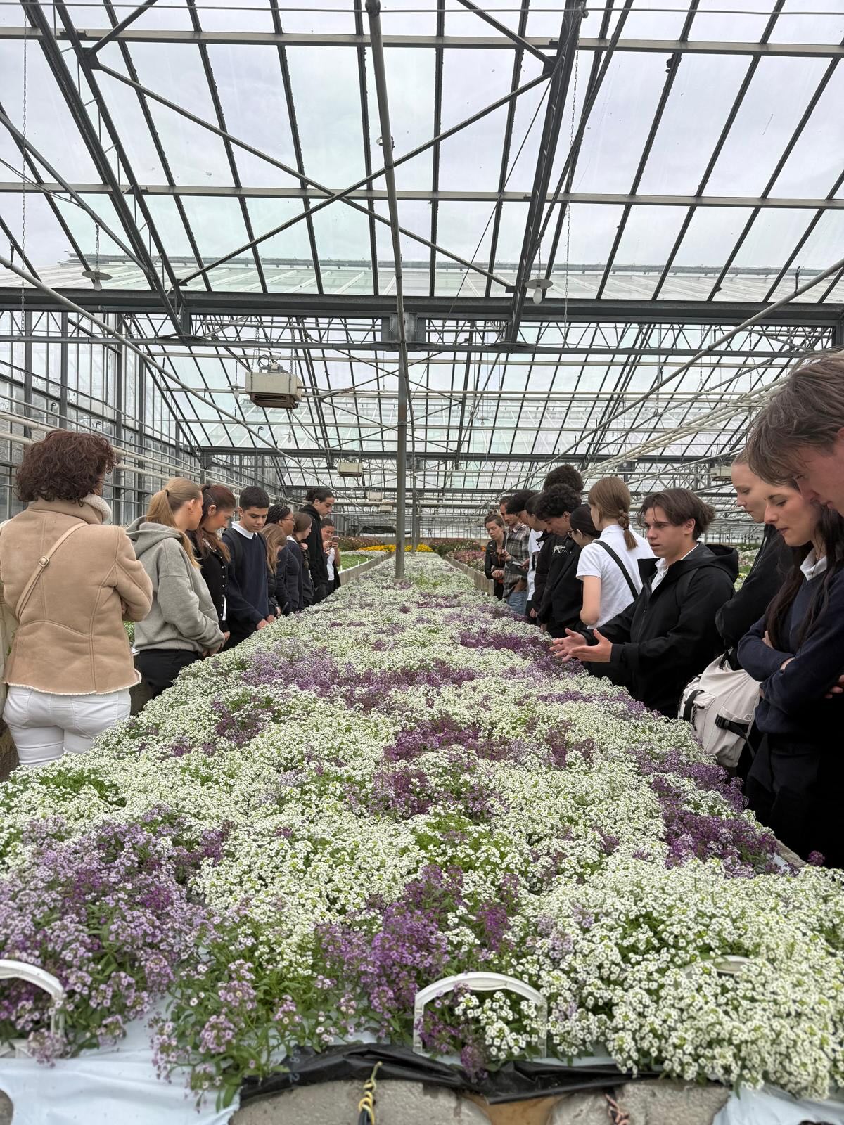 🌸 Visite et échange avec Pascaline de chez Marius Auda.
🌻 Dégustation des fleurs comestibles et échanges avec nos élèves de 1PRO5.
🌸🌻Moments privilégiés
#Locavorisme #développementdurable #labelE3D
@mariusauda
@mel_montagne_cie