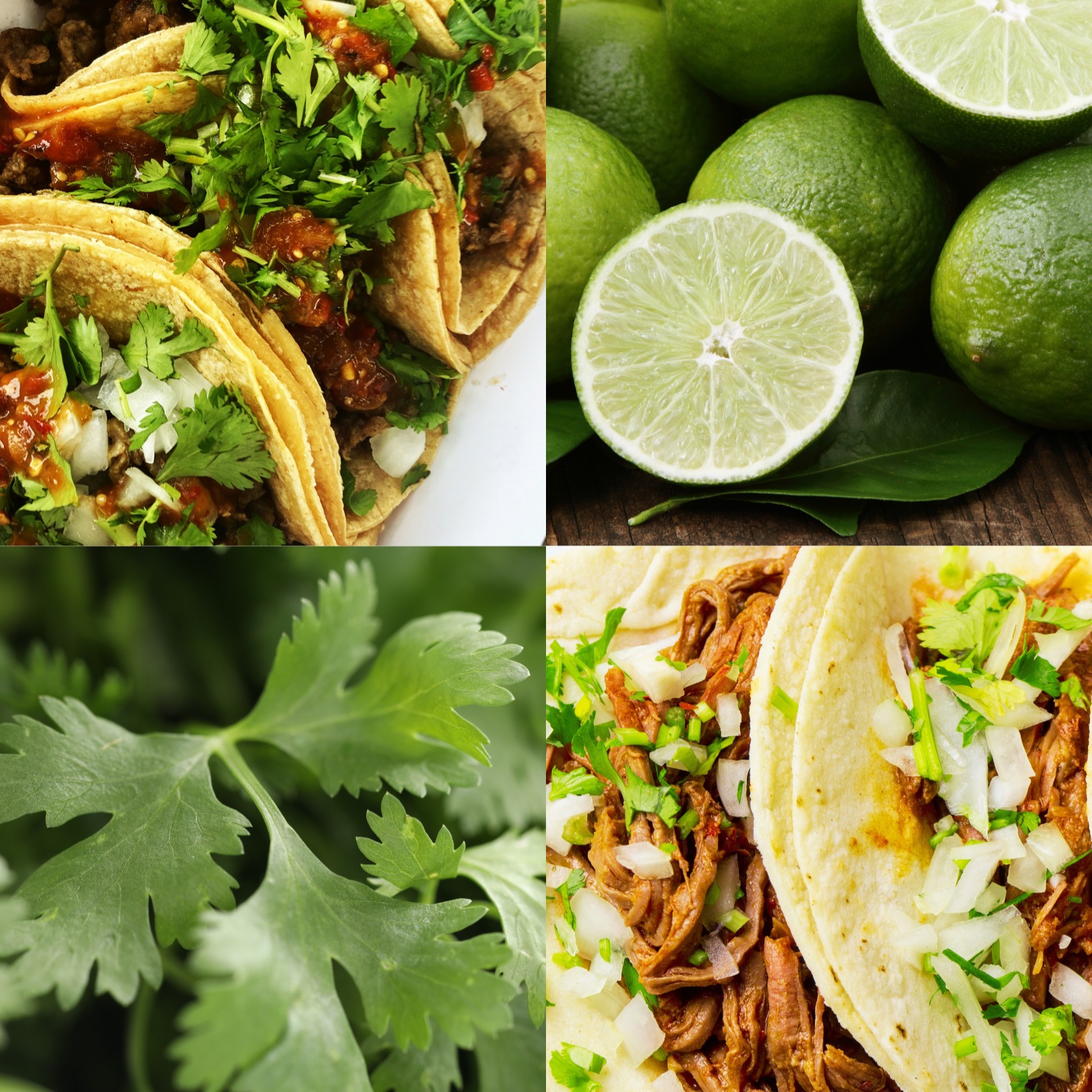 Fresh ingredients. Bold flavors. Signature sauces. Real American Mexican food — made from scratch in the middle of Transylvania.
.
Mojitos Bran is almost here. 🌮
.
#MojitosBran #MexicanFood #Brasov #Transylvania #Tacos #FreshIngredients #ComingSoon #BranCastle #StreetFood
