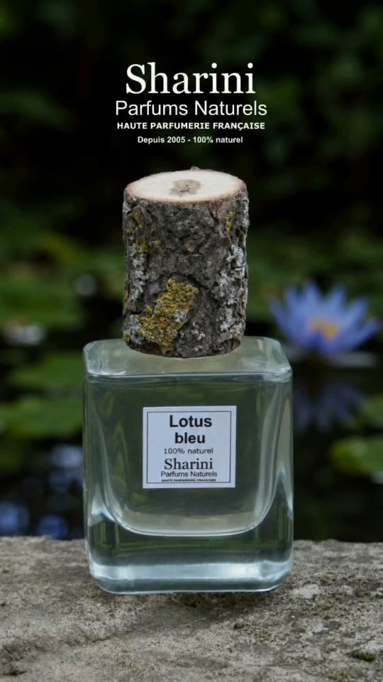 Plongez dans un voyage olfactif apaisant et envoûtant avec Lotus Bleu, une création naturelle d’une grande finesse, inspirée par la sérénité des jardins d’eau au lever du jour.
Lotus Bleu est une invitation à ralentir, à respirer, et à se reconnecter à l’essentiel. Un parfum naturel, à la fois lumineux, floral et profondément apaisant.
#naturalperfume #parfumnaturel #shariniparfumsnaturels #bluelotus