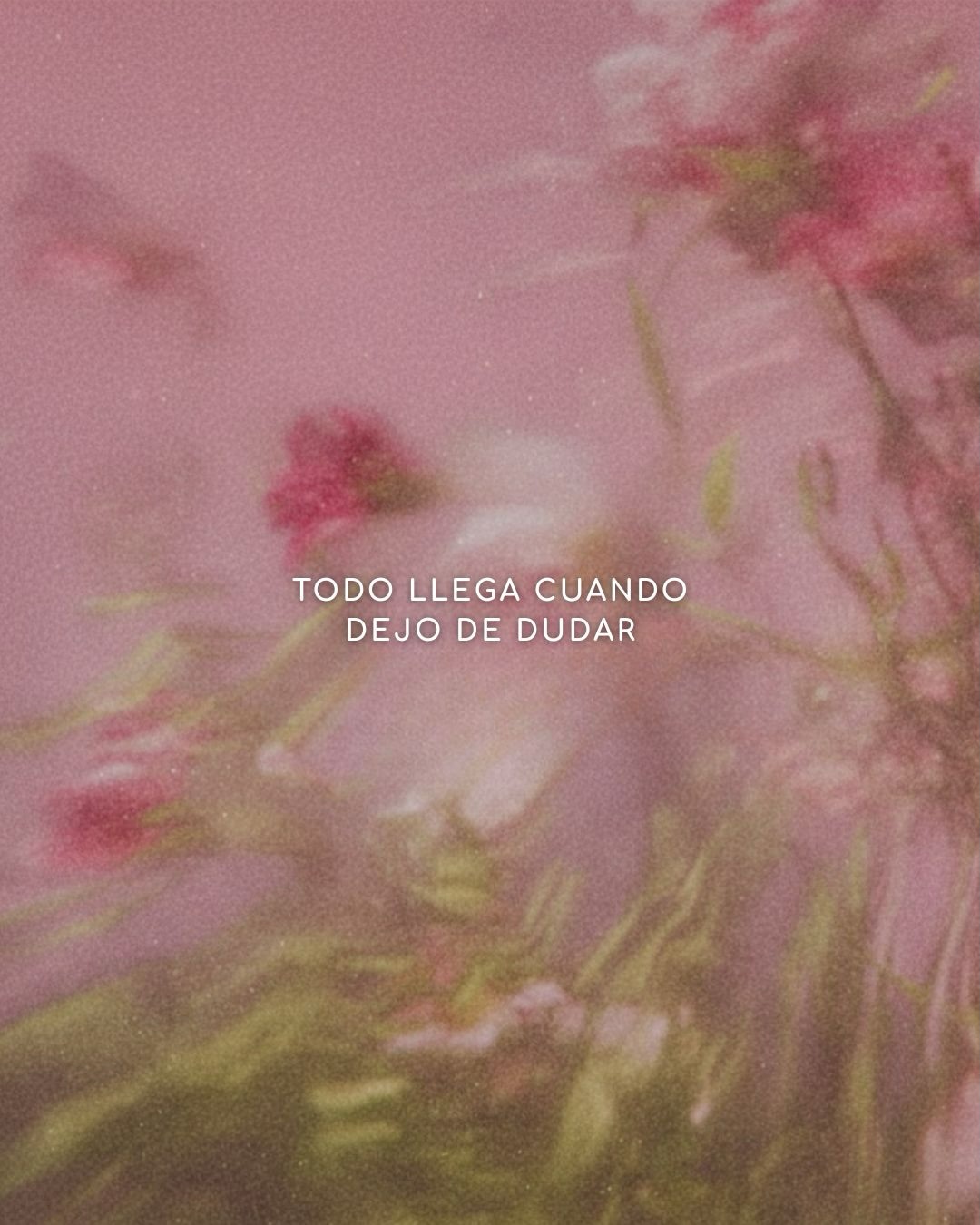GUARDA, COMPARTE, REPOSTEA ✨
Si a ti te inspira, también les puede inspirar a los demás 💜
Namaste.
#manifiesta #amor #abundancia #paz #luz