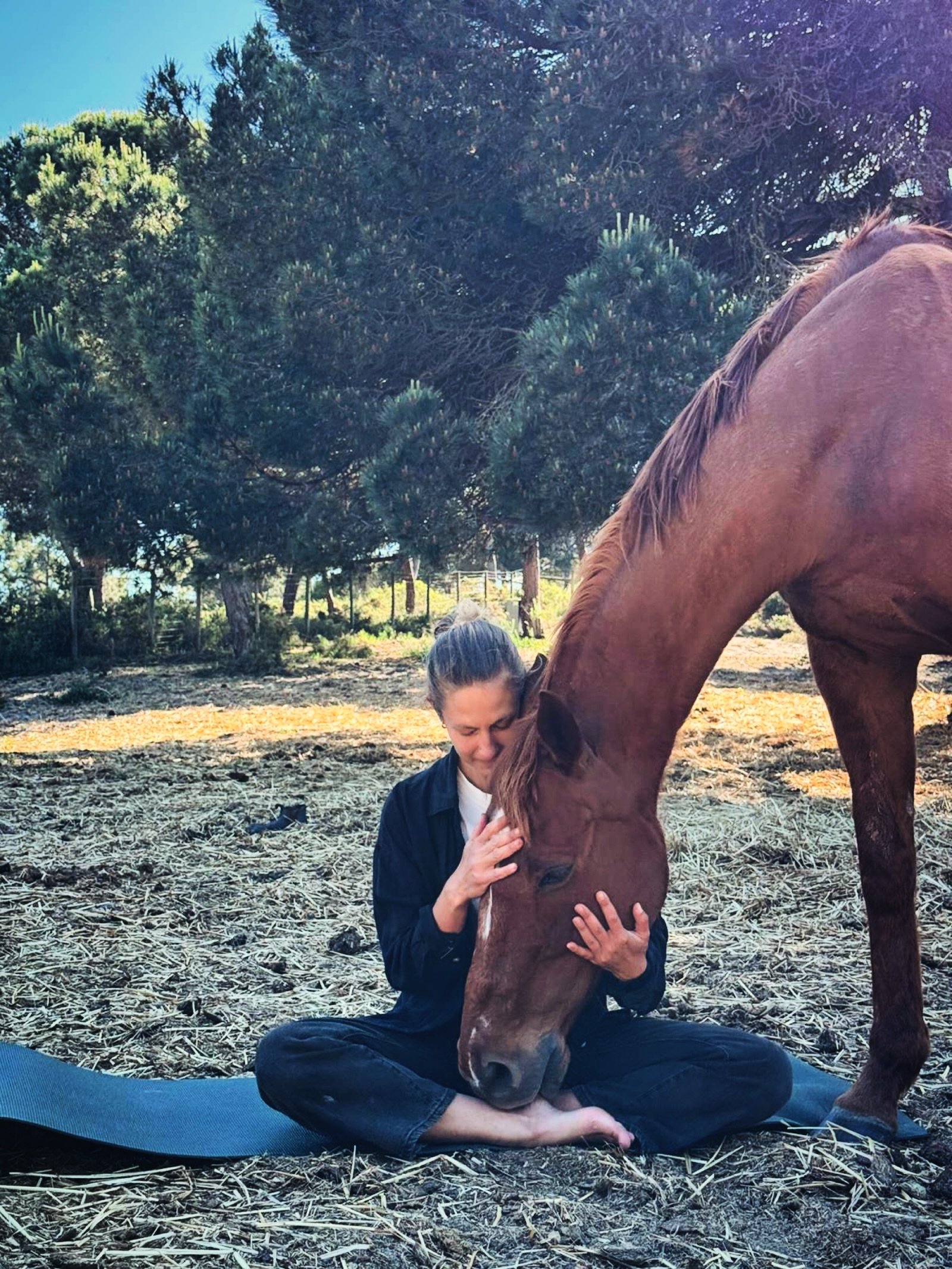 Thank you so much to everyone who participated in our Anniversary Giveaway - we truly appreciate all the love and support! 🤍
The winners have been selected and contacted — congratulations once again to all of you! ✨
We’re also excited to announce that our very first Yoga Session Among Horses with @annabreed_ will now take place this Wednesday (we moved it to Wednesday due to unstable weather conditions forecasted for Tuesday). We can’t wait to share this special experience with all of you and are already looking forward to making these sessions a regular experience in the future. 🐎🧘♀️
See you among the horses! 🤩