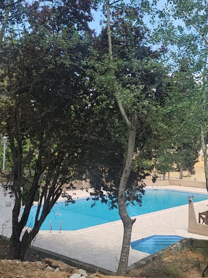 Polonezköy Country Club'ın gerçek sakinlerinden sayın angut ördeği sezonun ilk açılışını yaptı. Peki ya siz neredesiniz? 😊💚🦆🌱
@polonezkoycountryclub
#AngutÖrdeği #RuddyShelduck #Tadorna
