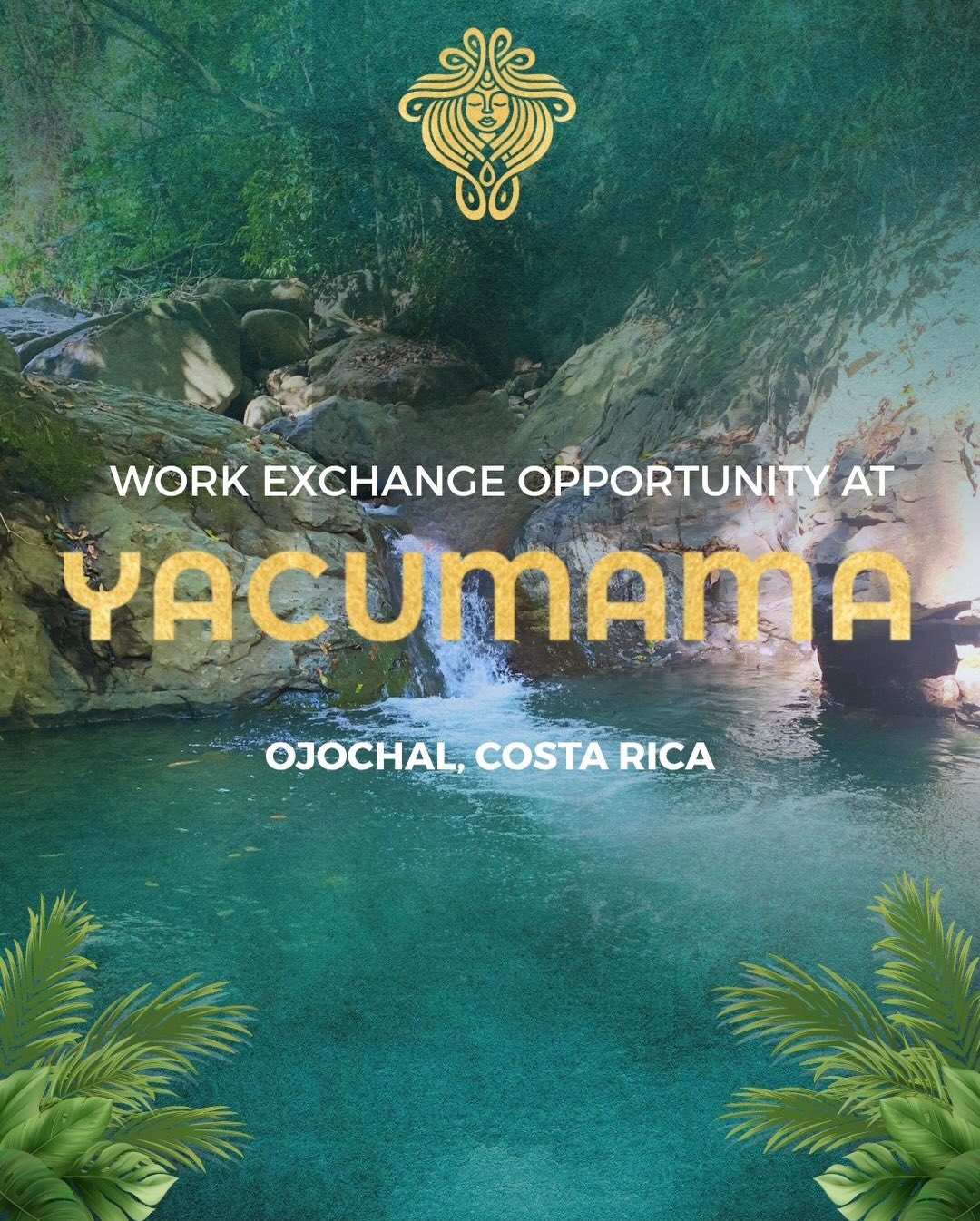 Social Media & Content Creation work exchange opportunity is available now at Yacumama!
This is an amazing opportunity to be a part of our beautiful community in an eco-village in Costa Rica.
Deadline to apply is May 21st- opportunity open now.
See slides for more info and apply with link in bio!
#ecovillage #communalliving #puravidalife #workexchange #contentcreator