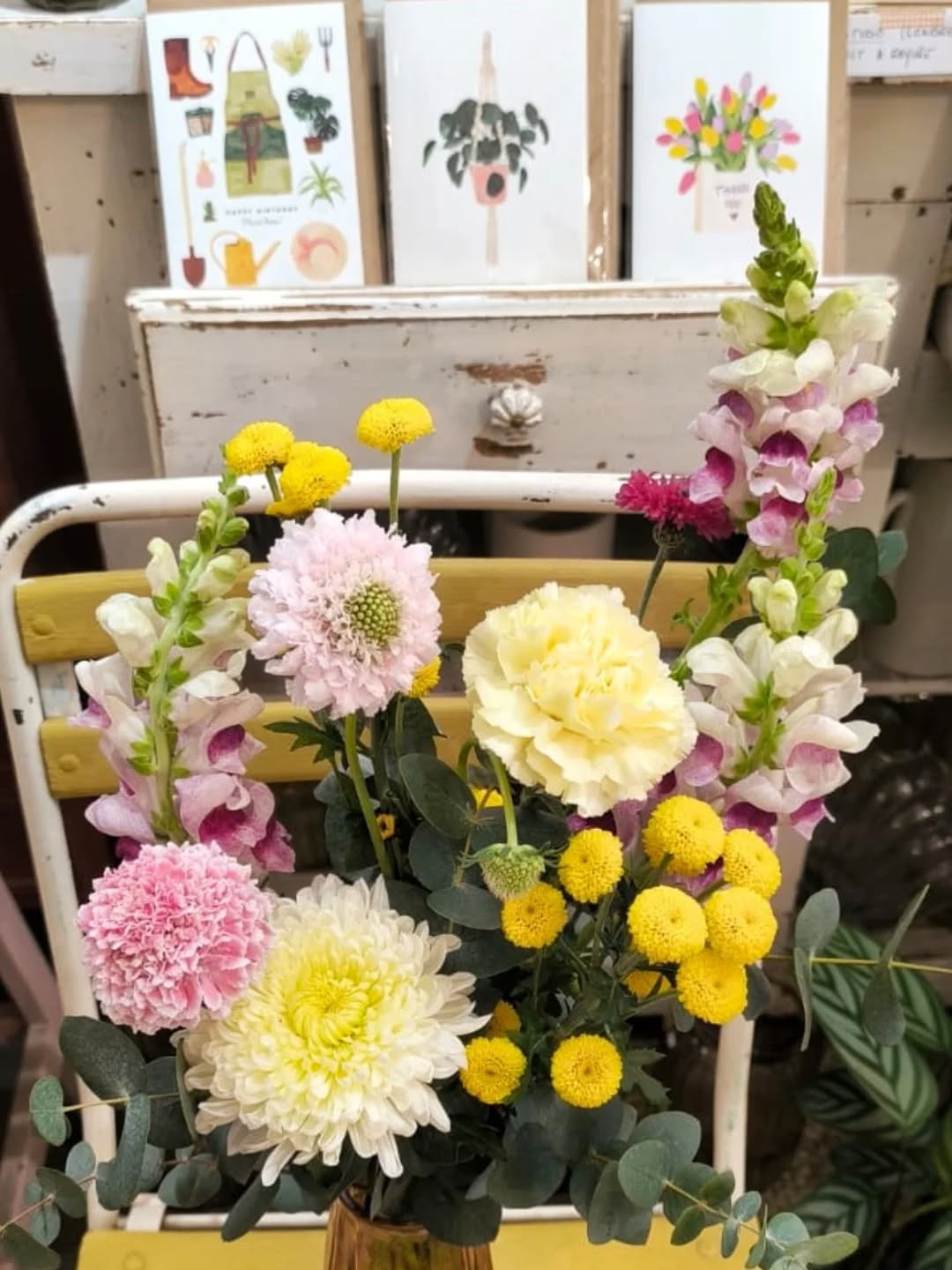La boutique est ouverte aux horaires classiques ce jeudi et ce week-end !
》Le Jardin de Lucette, 34 rue de la Concorde, 31000 Toulouse, du mardi au dimanche.