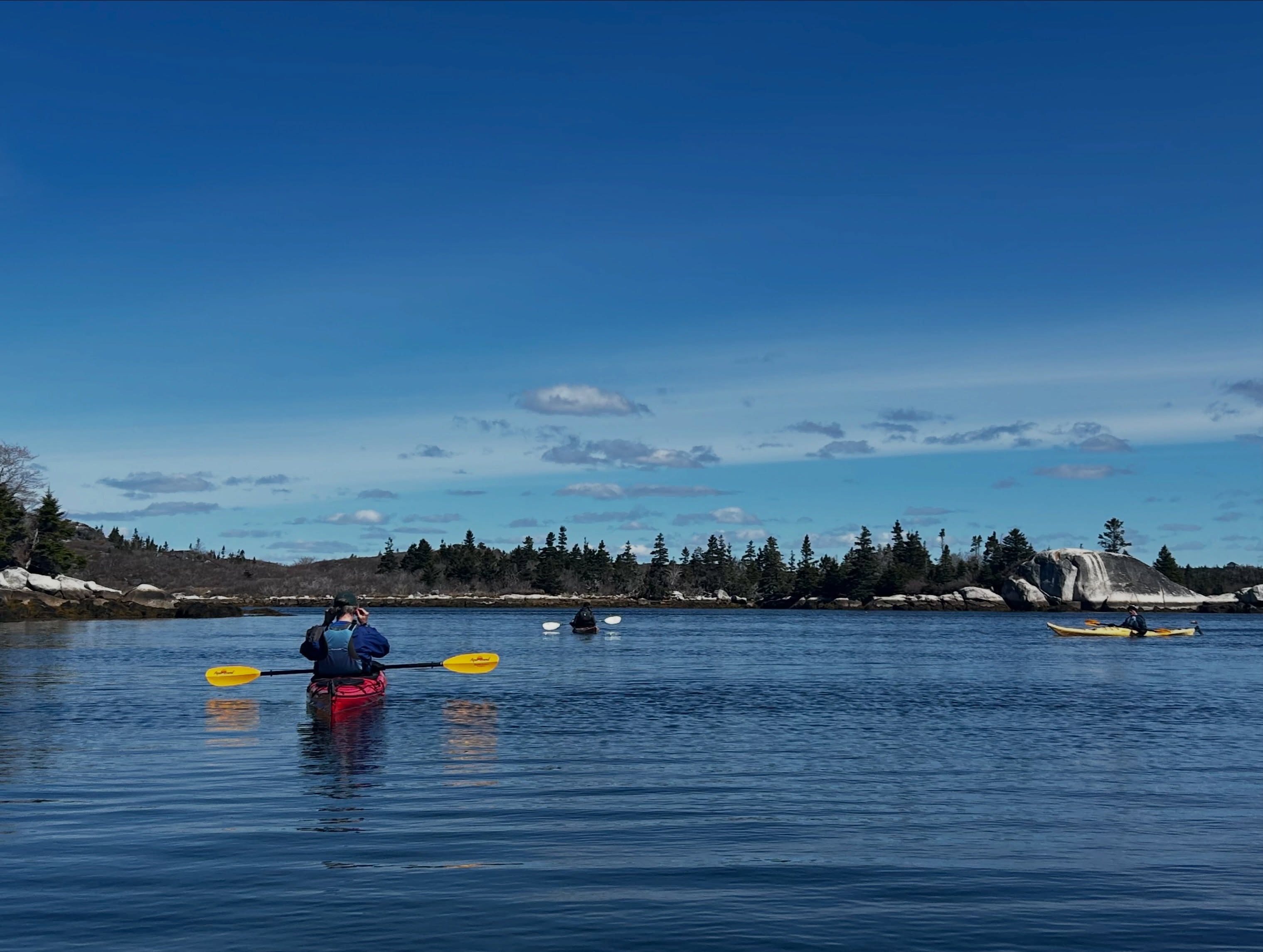 First Island Explorer tour of the season and what a day for it ☀️🌊
Blue skies, calm water, beach stops, and wildlife sightings all around. We paddled with a local Haligonian and his friend visiting from Germany, explored the islands, spotted a harbour porpoise, and even had a curious juvenile grey seal summing on a rock 🦭
Nova Scotia really shows off this time of year, and with Victoria Day long weekend coming up, there’s no better time to get out on the water.
Come join us for a paddle and see the coastline from a whole new perspective.
#EastCoastOutfitters #NovaScotia #Halifax #VisitNovaScotia #Kayaking