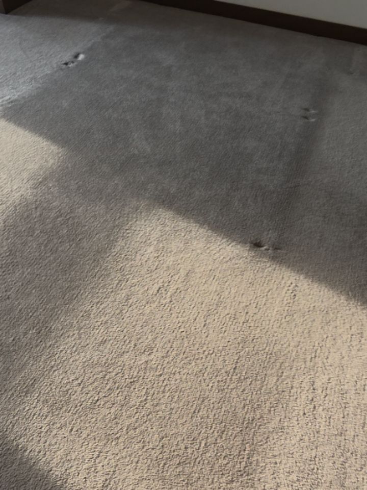 A nice little carpet clean in Brentwoos .Done by Boss Baby and myself..
Perfection in our name..perfection is our aim.
#brentwoodessex #carpetcleaningessex #westcliff #leighonseaessex