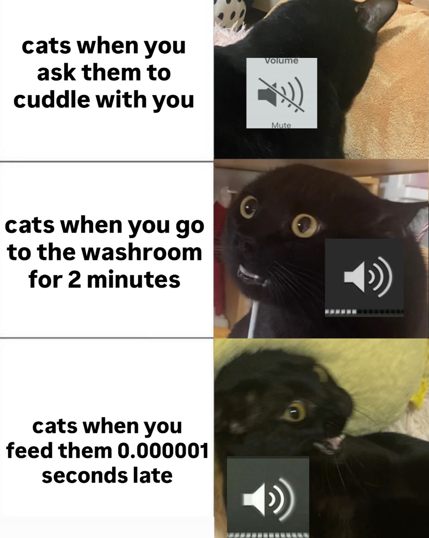 they're always being dramatic š¶š»āāļøšāā¬
#catlovers #funnycat #funnymemes #cats_of_instagram
