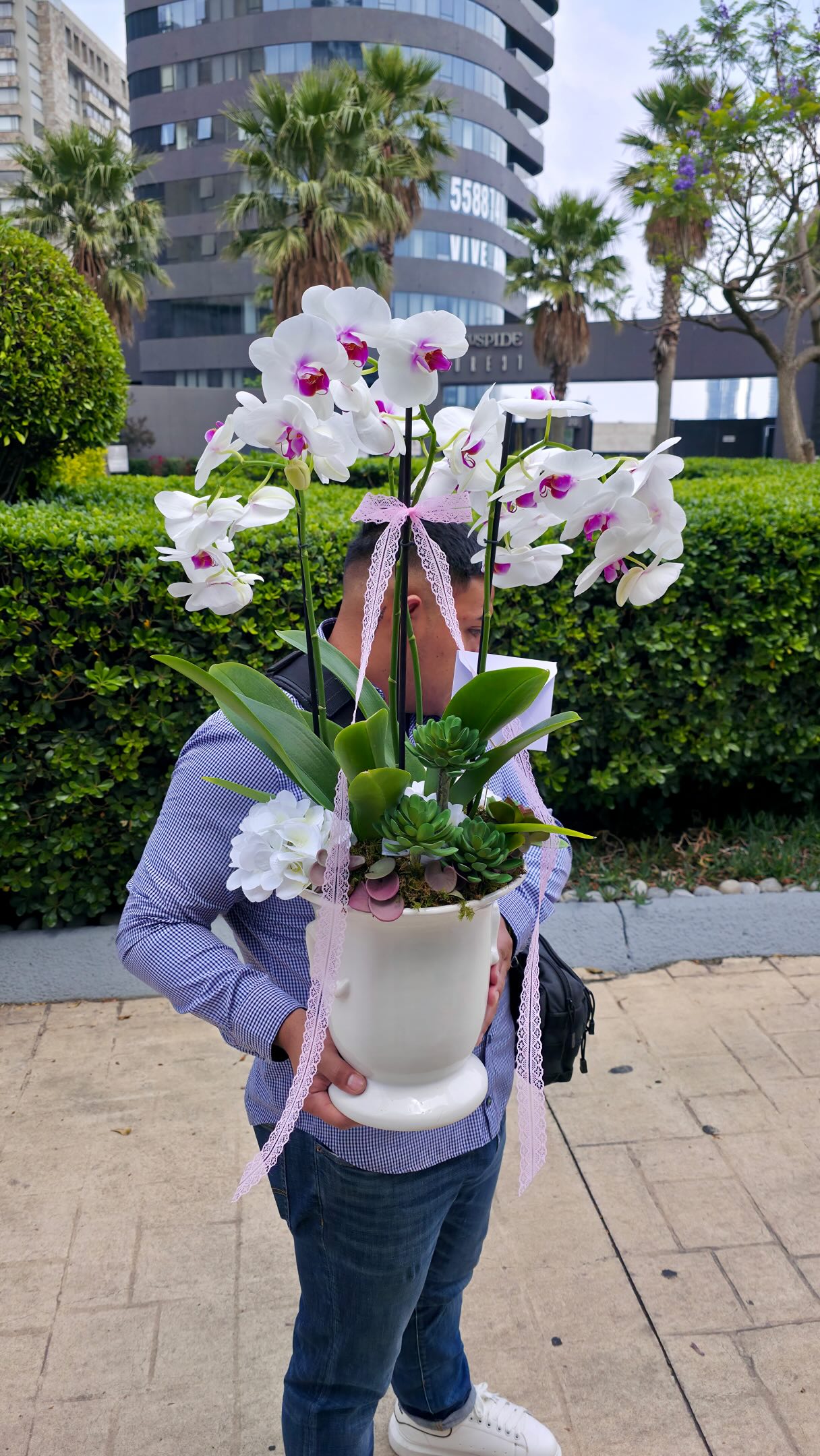Hay flores que decoran un espacio.
Y hay otras que cambian por completo cómo se siente.
Esta composición de orquídeas phalaenopsis fue creada para quienes buscan elegancia, calma y presencia en una sola pieza.
Más que un arreglo floral, es diseño floral inspirado en interiorismo de lujo.
Llimpio, atemporal y completamente personalizado.
🌸 Orquídeas premium phalaenopsis
📍Polanco CDMX
#OrquideasDeLujo
#OrquideasPolanco
#DiseñoFloralCDMX
#FloreriaDeLujo
#FlorilegioMX