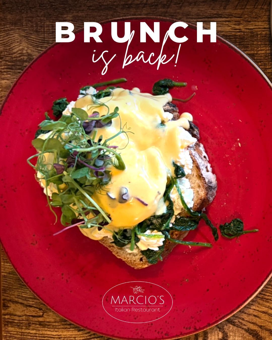 Brunch at Marcio’s is back… and it’s better than ever.
Think slow mornings, fresh coffee, and everything made properly - from homemade sourdough to freshly prepared focaccia and free-range eggs.
From indulgent classics like Eggs Royale and our full Marcio’s breakfast…
to lighter options like açaí bowls and fresh focaccia.
And if you’re joining us for lunch?
Our full à la carte menu is also available.
📍 Wednesday - Saturday and occasional Sundays
⏰ 10:00 - 15:00
Please note - due to our small kitchen, availability is limited during peak brunch and lunch times. We always recommend booking.
📍 Castle Road, Bedford
📞 07768 431715
📧 info@marciositalianrestaurant.co.uk
www.marciositalianrestaurant.co.uk
🍷🍝 Slow evenings, full hearts, unforgettable flavours. We can’t wait to welcome you at our Bedford restaurant! ❤️🇮🇹
#BrunchBedford #BedfordFood #ItalianBrunch #BrunchVibes #FoodieFinds