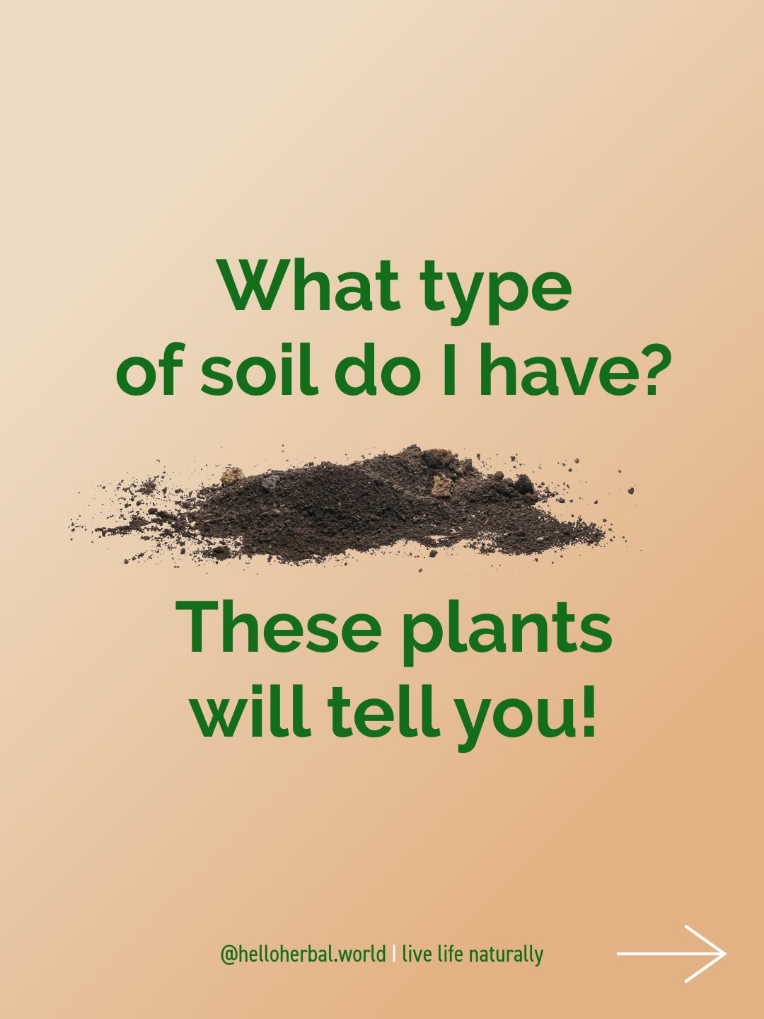 Nothing escapes the notice of plants 😉
They know exactly where they need to be to thrive.
Many wild plants serve as indicators of soil conditions in an area or…your garden!
If you can recognize the plants, you can use that knowledge to your advantage when planting and harvesting in your own vegetable and herb garden.
This plant list isn't exhaustive, but it does give you an idea of the types of soil you might find in your garden and what you might need to add to achieve the best results.
👀 If we learn to truly observe nature again, we will naturally begin to move in harmony with the Earth’s rhythm. And it’s not just our gardens that will benefit from this…we will too!
Don’t forget to follow if you love to live life naturally 💚
#knowyoursoil
#plantknowlegde
#soiltest
