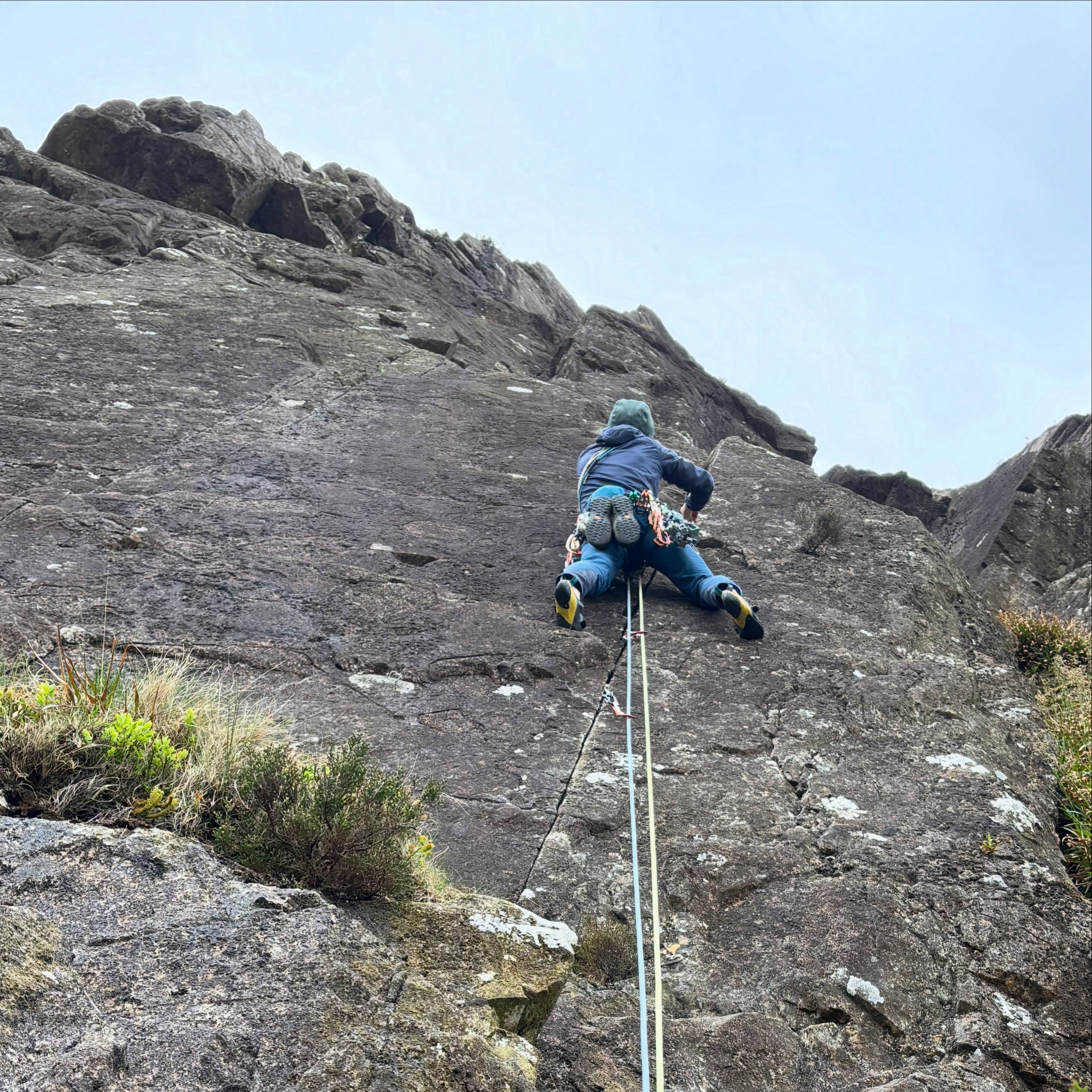 Made the most of the dry weather with some nice climbing this week.
.
A trip to Wallowbarrow on Monday saw us climb:
-Western Wall (VS 4b**)
-Thomas (S 4a***)
-The Plumb (VS 4c**)
.
And then to High Crag on Wednesday. We climbed:
-The Three Kings (VS 4c**)
-Delilah (VS 5a***)
.
Nice to be up in the mountains - these venues are fantastic for improver style climbing with lovely rock and mid grade routes. Come and see what it’s all about!
.
@ami_professionals
.
#ukclimbing #climbing #lakesclimbing #buttermere #multipitchclimbs