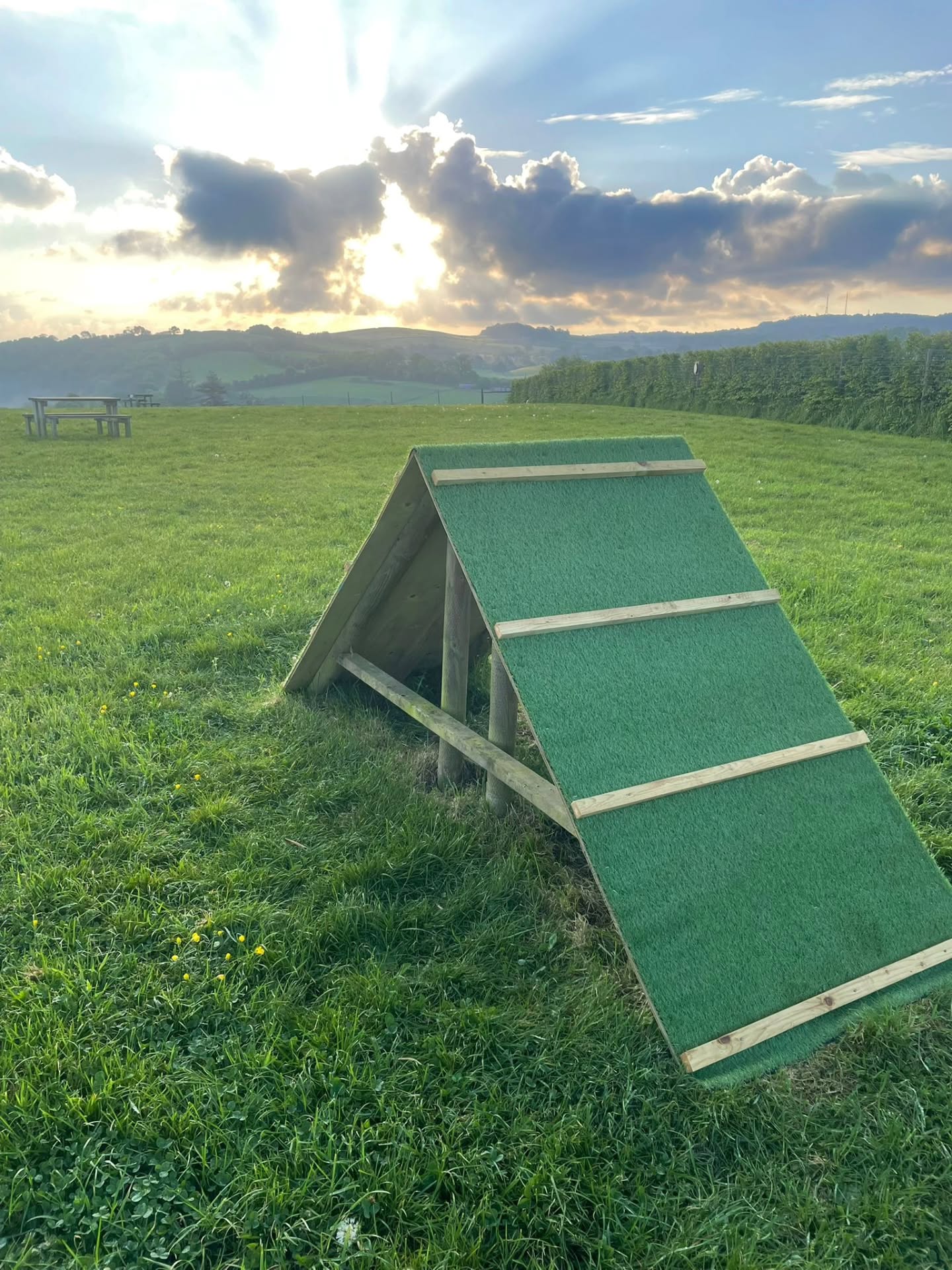 We've upgraded the apex in the main field at Wanderlust Walkies, Littlehempston!
These A frames are great for building strength, improving coordination and gaining confidence. Plus they are loads of fun to climb.
We would love to see pictures of them in action so please be sure to tag us.
#DogAgility
#SecureDogField
#DevonDogs
#HappyDog