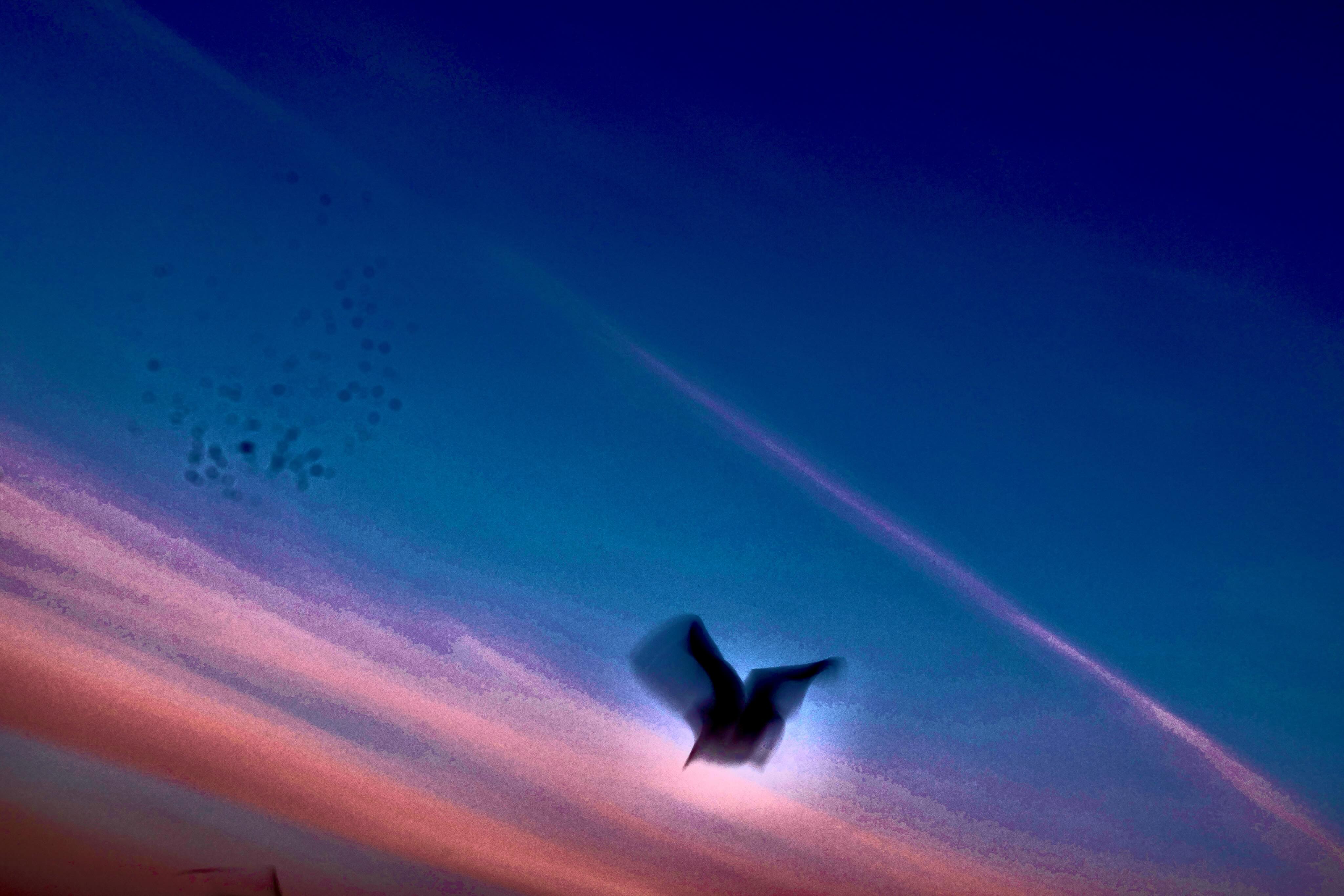 Fotografía de @___reincarnated