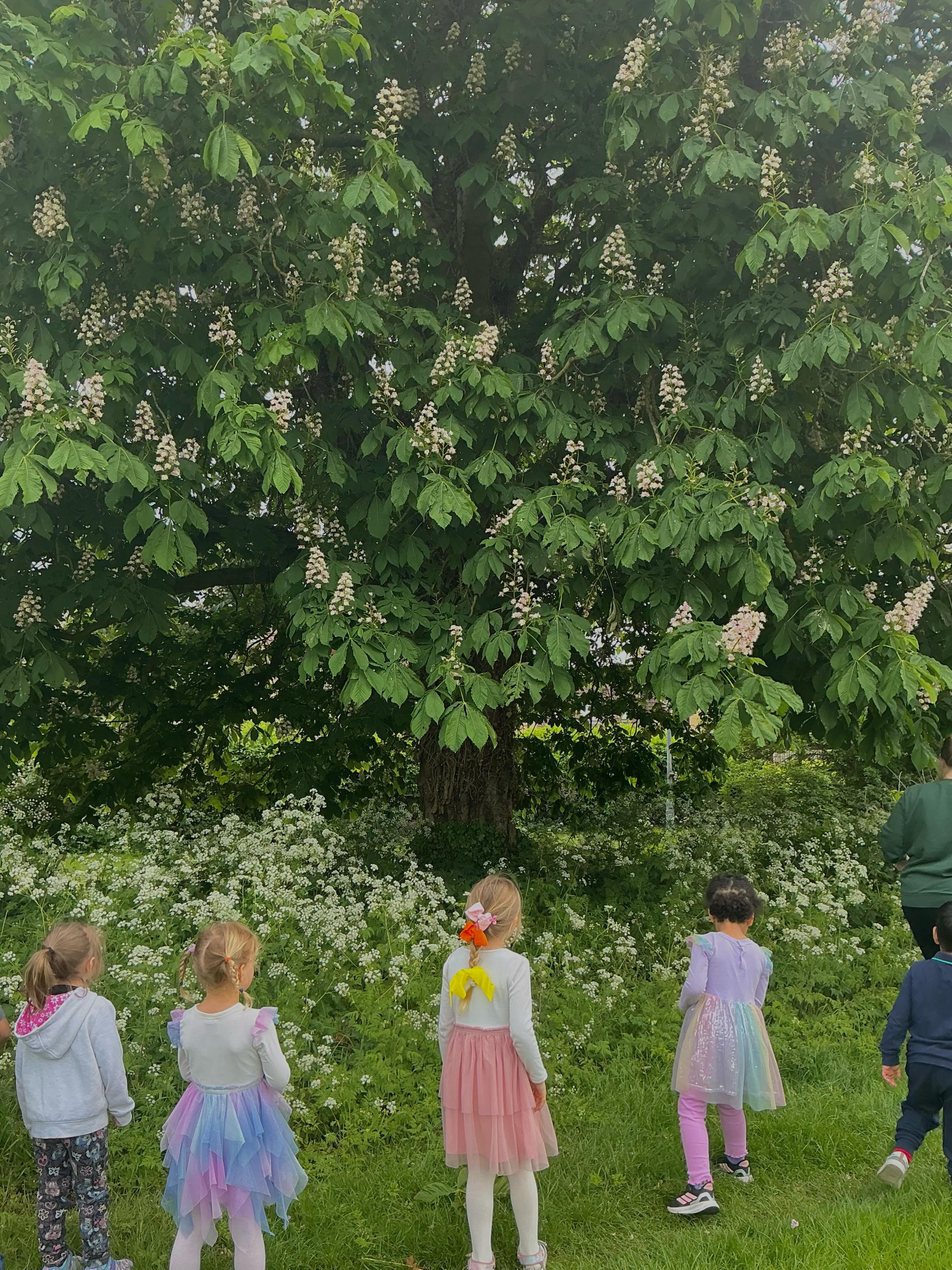 Did you know conker trees have a schedule? 🕰️
Our preschoolers discovered today that the conkers wait until we head to school to make their big jump! 🌳✨
#nature #peterborough #preschool #schoolreadiness #eyfs