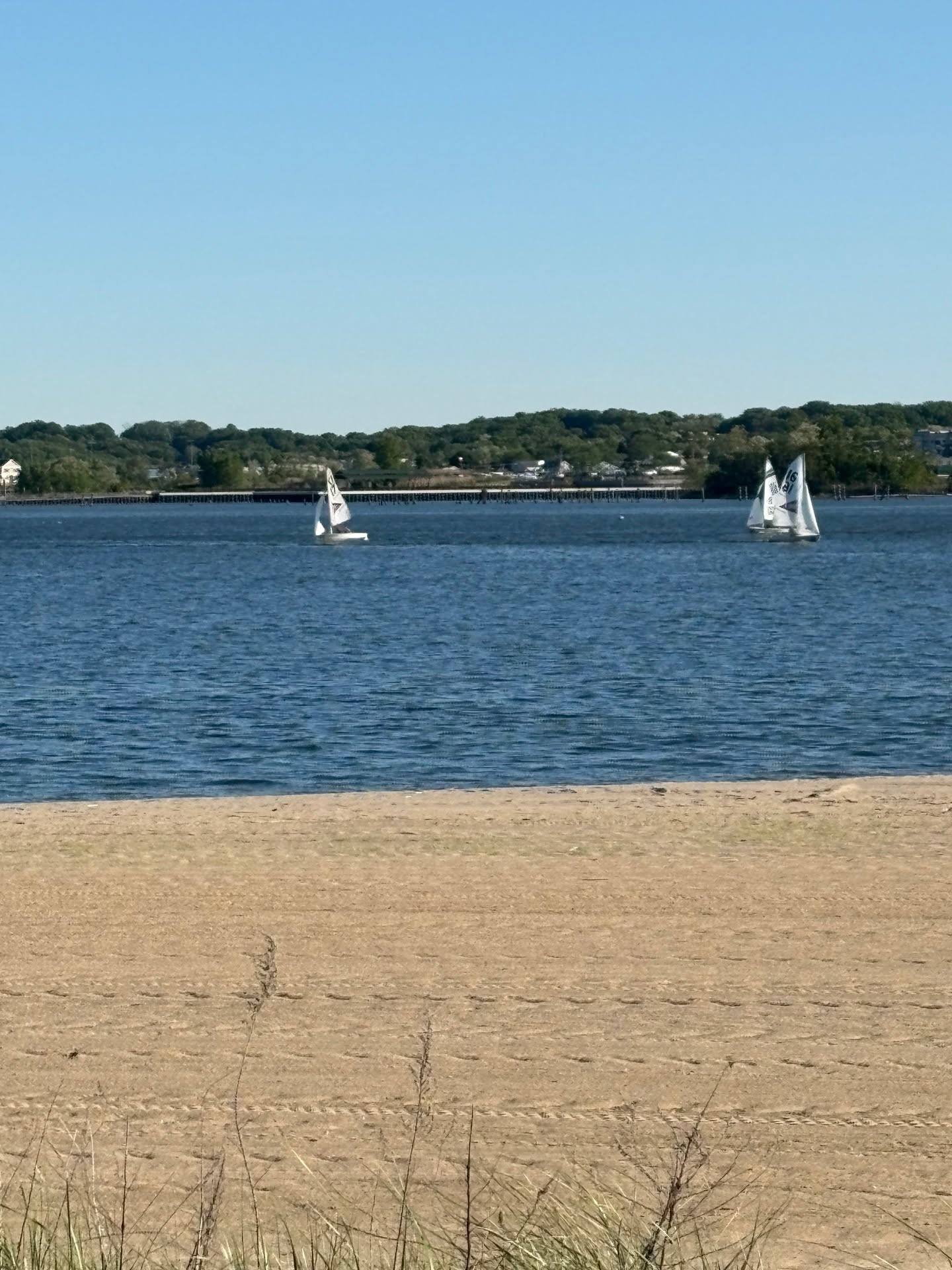 Last night, The Summit High School Sailing Team took to the waters of Perth Amboy for their last regatta of the season. Summit had some great finishes. The top two boats came in 4th and 5th out of a field of 18. Last night also marked the end of high school sailing for the seniors (Brady, Evy, Charolette, Nikhil, James, and Elena). The seniors will be attending the University of Florida, McGill, SCADD, Kent State, Colgate, and Cornell respectively. We wish them nothing but the best and appreciate their efforts on the water for Summit High School.
The sailing team will be back on the water in September.
