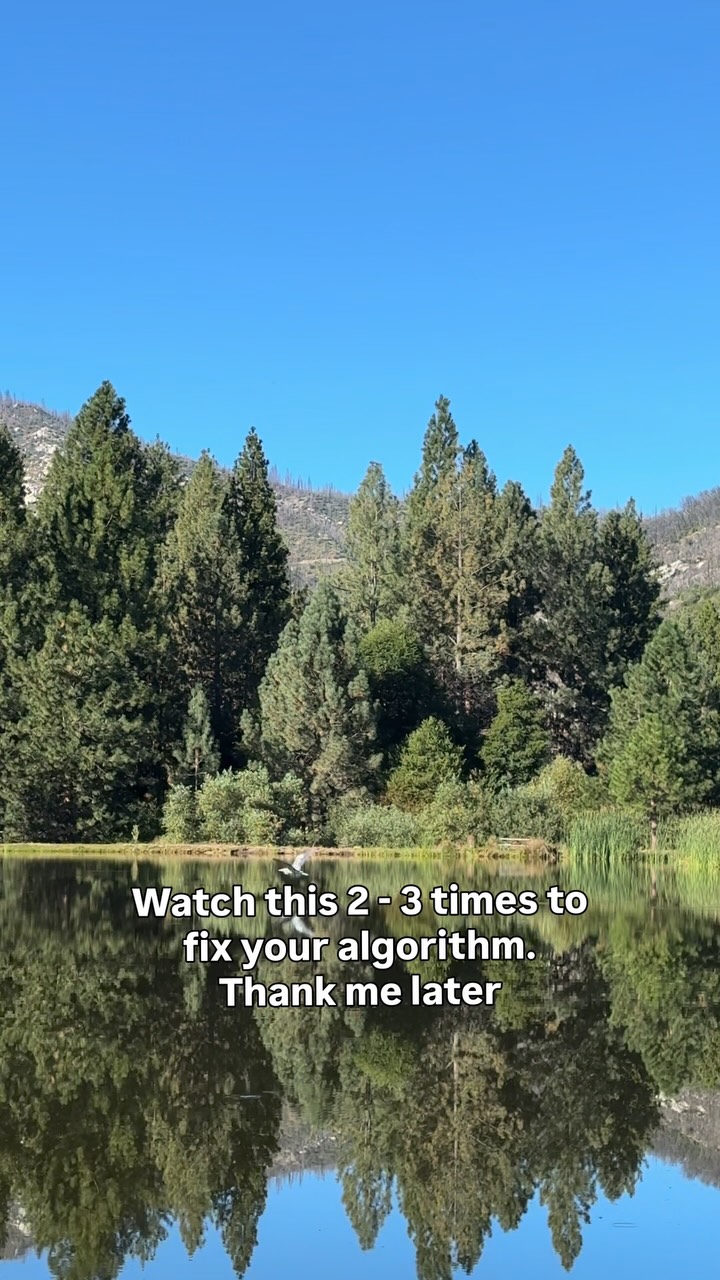 Happy Monday! Spend time in places that bring you peace. Consume media that aligns with your values. Protect your mind, your energy, and your joy this week. 🤠🏞️🌲