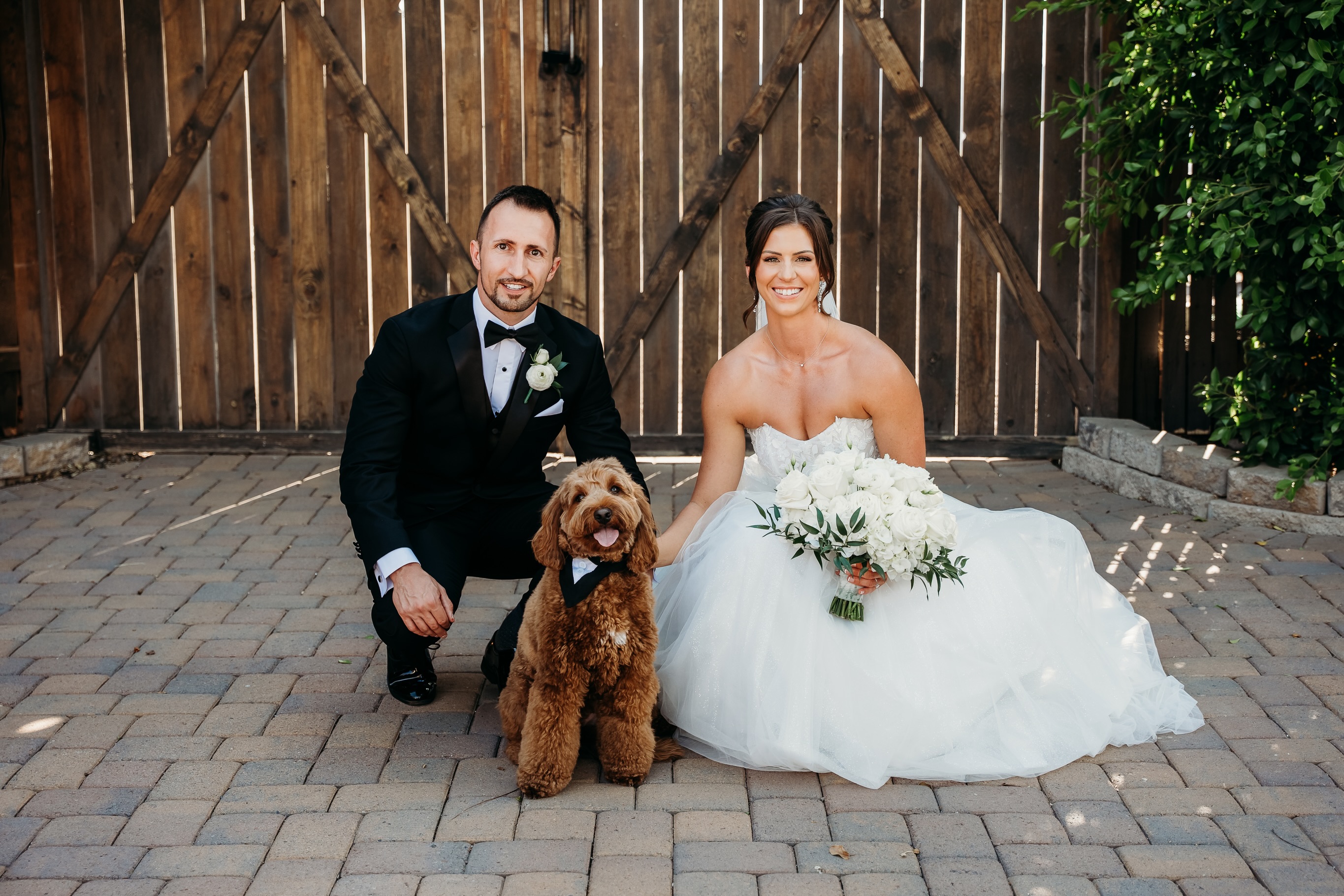 Congratulations Nicole & Logan, we thank you for trusting Vision Weddings AZ on your special day! 🤍 @thevenueatchilleens
.
.
#azphotographer #phxphotographer #weddingphotography #weddingphotographer #weddingdayphotos