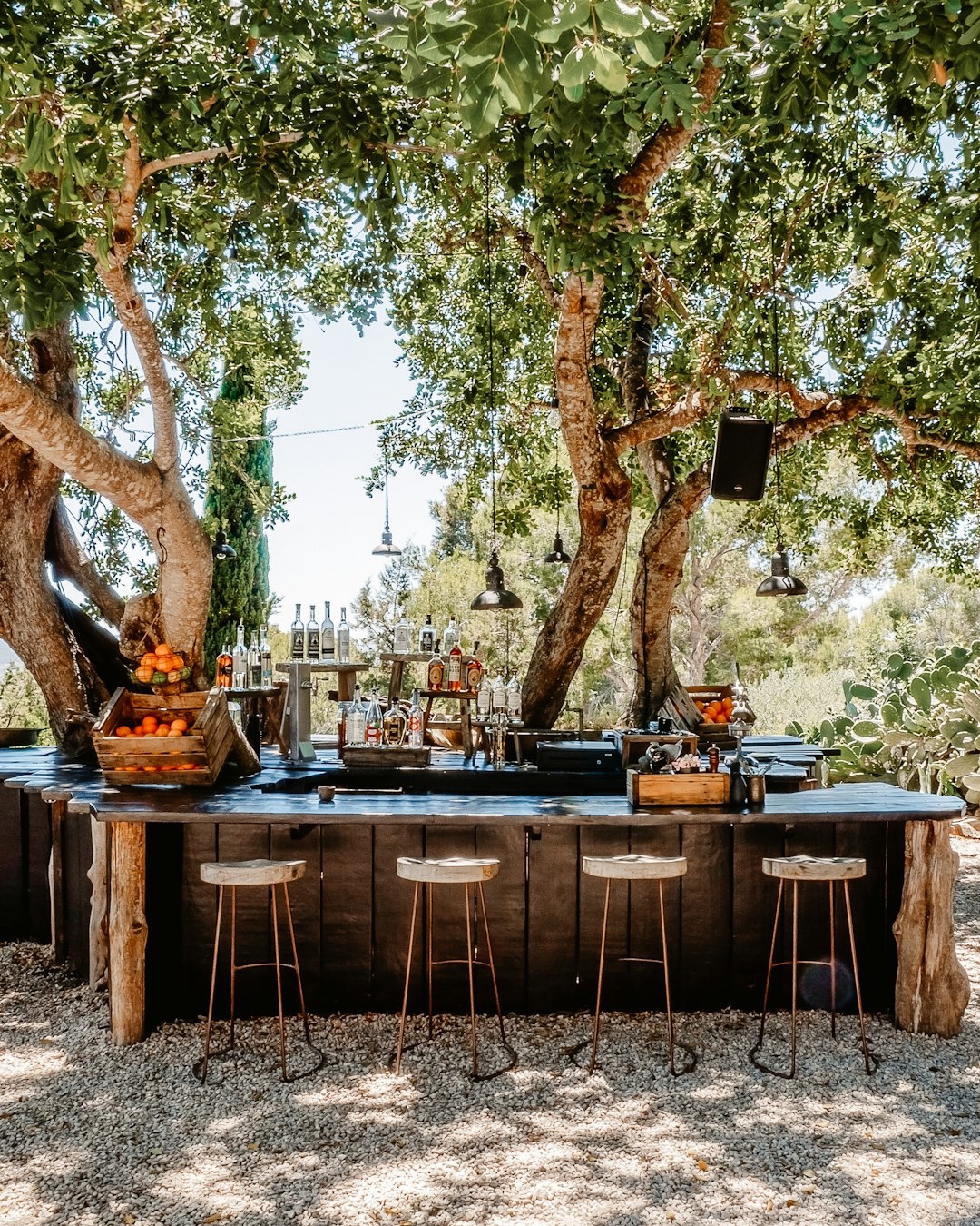 Bars, juices, mocktails , coffees… any drinks service we can arrange for you 🍸
DM for more info 💫
#barserviceibiza #juicebaribiza #coffeestation