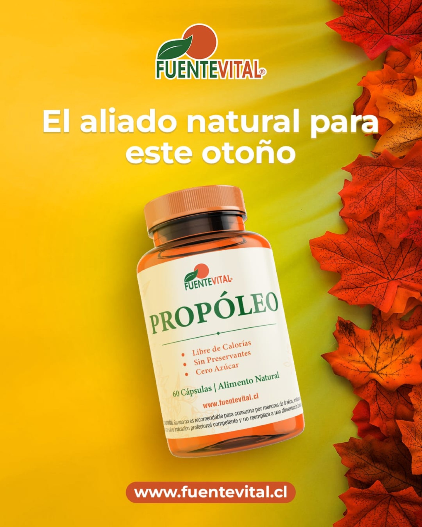 🍂 El otoño cambia el ambiente… y también nuestras rutinas.
En temporadas frías, muchas personas buscan reforzar hábitos de alimentación más conscientes y equilibrados. El Propóleo en cápsulas de Fuente Vital® es un suplemento alimenticio elaborado para acompañar tu rutina diaria con ingredientes de origen natural.
✔️ Fuente natural utilizada tradicionalmente en temporadas otoño/invierno
✔️ Ideal para complementar una alimentación equilibrada
✔️ Cápsulas prácticas para incorporar fácilmente a tu día a día
✔️ Libre de calorías y sin preservantes
Porque cuidarse no debería comenzar cuando el frío ya se siente…
sino desde antes. 🍁
🔶 Si tienes farmacia, centro naturista, ecommerce o distribuyes suplementos alimenticios:
Suma a tu catálogo un producto de alta rotación estacional y trabaja junto a una empresa chilena con trayectoria en la industria nutracéutica.
🔶 Si eres consumidor:
Incorpora Propóleo Fuente Vital® como parte de tu rutina nutricional de otoño e invierno y encuéntralo en puntos de venta autorizados a lo largo de Chile.
📍 Revisa dónde comprar en:
👉 www.fuentevital.cl
#FuenteVitalChile #Propóleo #Propoleo #SuplementoAlimenticio #Otoño #Invierno #NutriciónConsciente #AlimentaciónEquilibrada #BienestarNatural #VidaSana #FarmaciasChile #TiendasNaturistas #IndustriaNutraceutica #ChileSaludable #ConsumoConsciente