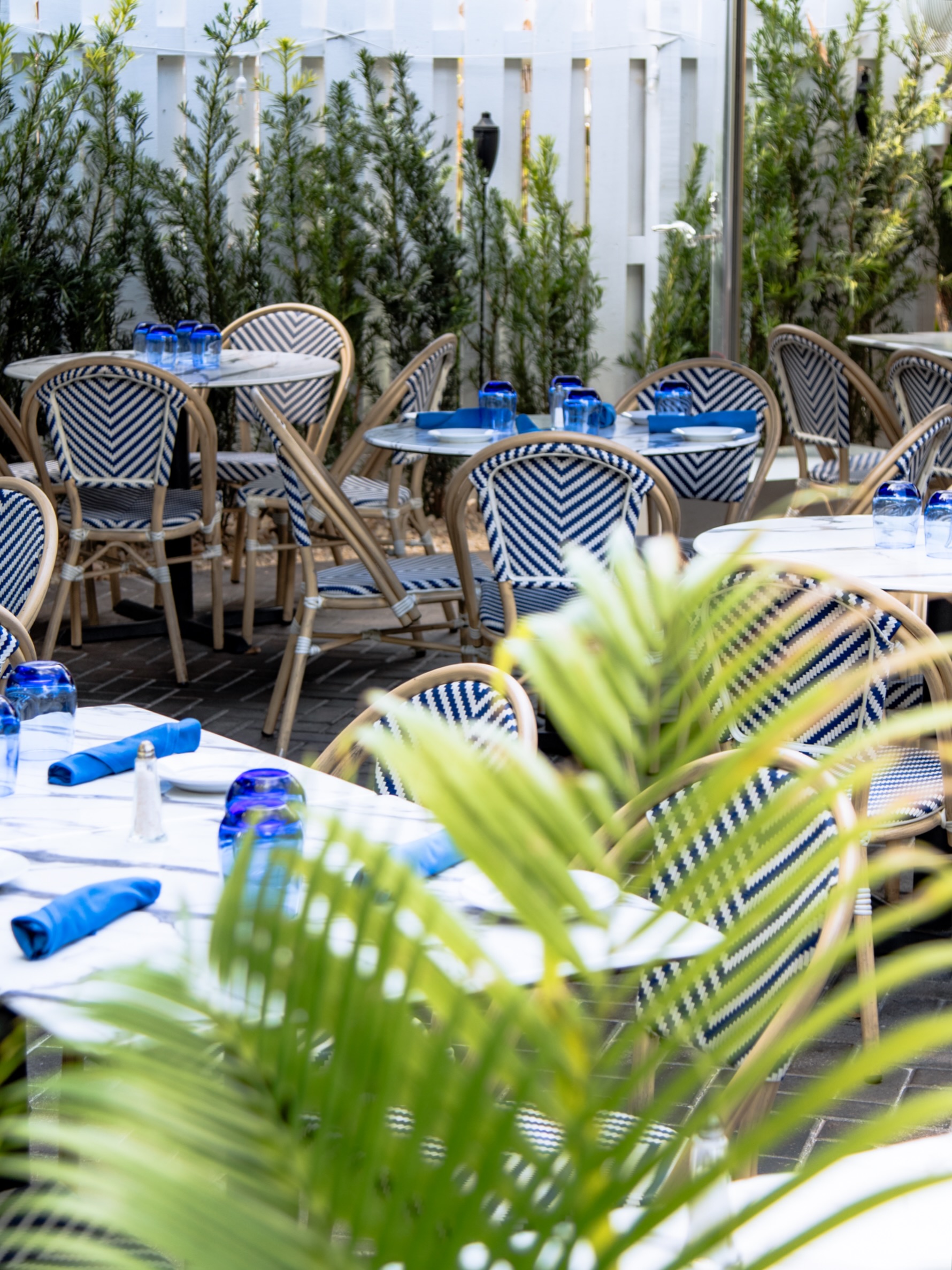 A hidden little escape in the heart of West Palm Beach ✨
Step onto the patio at Cafe Med and settle into long lunches, aperitivo afternoons, and beautiful Italian dinners under the palms.
Relaxed, vibrant, and inspired by the Mediterranean way of life.
•••
#cafemedwpb #westpalmbeach #italiandining #mediterraneanvibes #patiodining