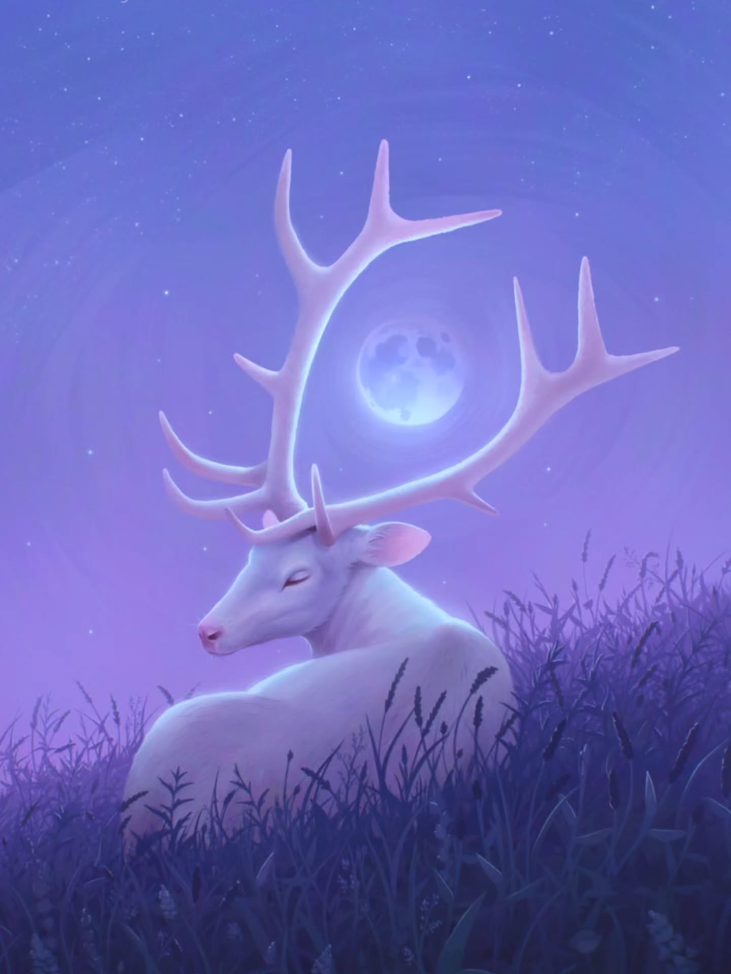 Here's the finished deer illustration I posted a reel of earlier! If you want to see a time-lapse of the full process from start to finish swipe to the end ✨