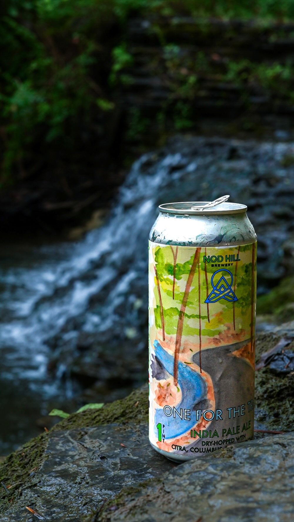 Freshly canned and back on shelves this week: 𝕆𝕟𝕖 𝕗𝕠𝕣 𝕥𝕙𝕖 𝕋𝕣𝕒𝕚𝕝 !
This juicy 6.7% NEIPA holds a special place in our hearts: it is brewed every year to support the work of the @norwalkrivervalleytrail 🫶🏻 A portion of the proceeds of every can sold will be donated directly to the NRVT to support their incredible efforts in and around our community!
Come stop by our Beirgarten tomorrow night at 6pm for a little launch party with folks of the Norwalk River Valley Trail and/or stop by to get a 4 pack this week. 🍻🦦 Cheers!