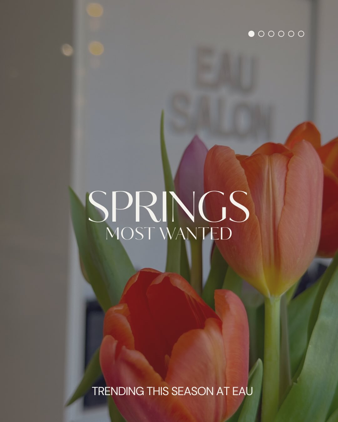 🌷 Spring’s Most Wanted 🌷
The products everyone’s reaching for this season? Think shine, volume, healthy hair, and effortless styling. ✨
From viral favourites to stylist-approved staples, our front table is stocked with what’s trending and what actually works behind the chair. 🛍️
Stop by the front table next time you’re in the salon and see what made the Spring Most Wanted list. 🌸
#yqr #yqrhairstylist #yqrhairsalon