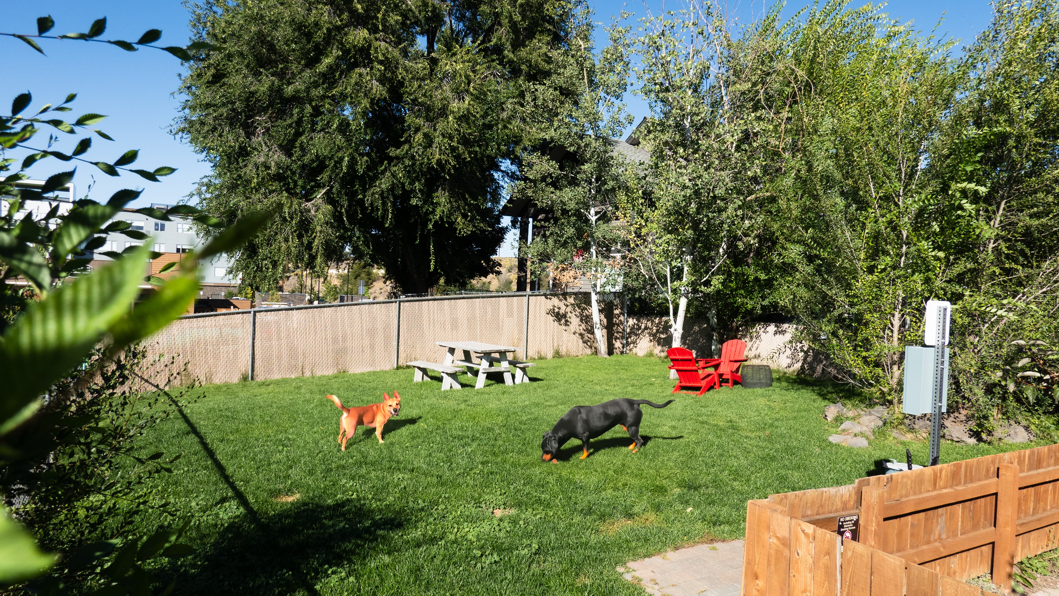 Paws, play, and pure comfort in the heart of Bend đžâď¸
At Wall Street Suites, your four-legged travel companion is treated like family. From spacious boutique suites to walkable downtown adventures and riverfront strolls nearby, itâs no wonder weâre arguably the best dog-friendly boutique hotel in the region.
Because the best vacations are the ones you donât have to leave your best friend behind for. đśđ˛ #DogFriendlyBend #WallStreetSuites #VisitBend #BoutiqueHotel #DogFriendlyTravel