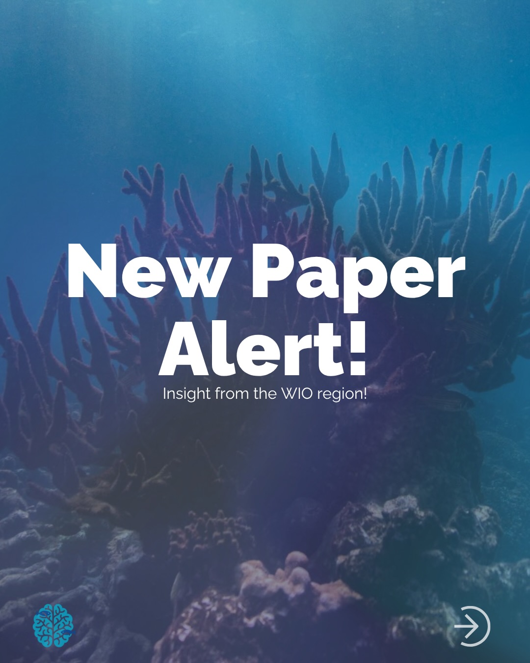 🚨🚨 New paper alert!!
Members from the Coral Restoration Consortium are proud to have supported the publication of “A Review of Coral Reef Restoration Initiatives in the Western Indian Ocean Region” published in PLOS ONE.
Read it today at the link in our bio☝️
This paper draws on peer-reviewed literature, a regional practitioner survey, and an in-person workshop in Zanzibar to capture what’s working, what isn’t, and where the gaps are. From monitoring standards and species diversity to funding sustainability and climate adaptation the onerous for this paper contributed directly to the establishment of the Western Indian Ocean Coral Reef Restoration Network (WIOCRRN)!
The only way coral restoration work succeeds at scale is if practitioners share knowledge, learn from each other, and build toward a coordinated regional strategy. This paper is a meaningful foundation for exactly that. We are grateful to be a small part of this incredible author list 💙
#coralrestoration #coralreefs #westernindianocean #conservation #science