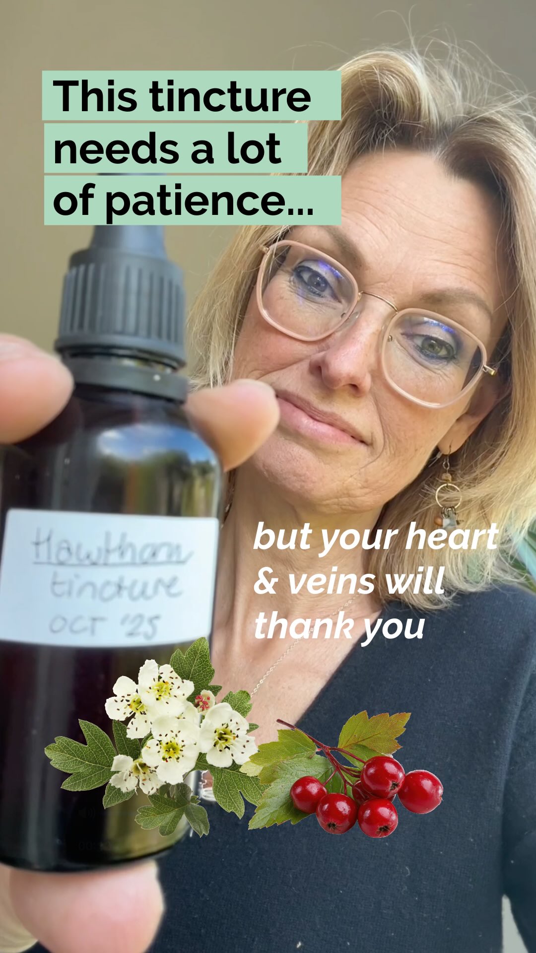May is my cue to harvest the young Hawthorn (Meidoorn in Dutch) leaves and flowers. They are the first part of the tincture I’m making.
Most tinctures take 6-8 weeks, but this one….6 months!
If I only harvested the flowers and leaves, I would miss out on the OPC’s (Oligomeric ProanthoCyanidins= bioflavonoids and polyphenols found in plants) If I would only tincture the berries, the mixture would contain too many OPC’s. When combined with the berries in the fall, Hawthorn tincture becomes the ♥️ heart hero it is so famous for.
Here’s the basic process I use:
🌸May: Harvest hawthorn leaves + flowers
♡ Crush them in a blender of use a mesaluna
♡ Cover with alcohol (ratio 1 part leaves/flowers to 5 parts alcohol) in a clean jar
♡ Let this mixture infuse through the seasons in a cool, dark spot
🍂 Fall: Collect the dark red berries
♡ Strain the flowers/leaves tincture
♡ Crush the berries and add 4 parts berries to the 5 parts you strained from the leaves/flowers.
♡ After about 6 weeks, strain the berries
♡ Bottle the tincture into small amber glass dropper bottles, label them with the date, and store them in a cool, dark place.
Hawthorn has been used in traditional Western herbalism for ages and is known as a classic herb associated with the heart, blood pressure, and longevity.
Making Hawthorn tincture is slow, but worth the wait.
Have you ever made a tincture that changes with the seasons?
Don’t forget to follow if you love living life naturally 😊
❗️Always consult a doctor before using a tincture or if you already are on medications
#hawthorn #Hearthealth #herbalremedy #hawthorntincture