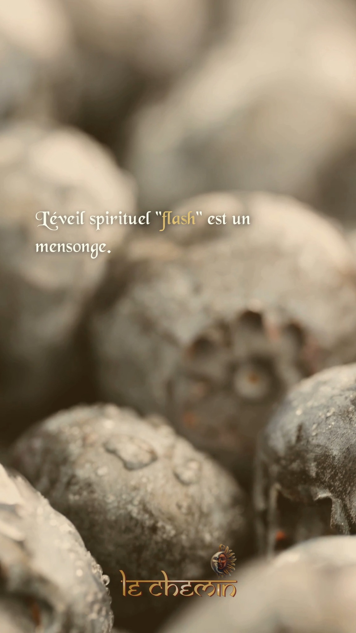 🔸Le Temps de l'Âme ◼️
On ne presse pas une fleur pour qu'elle s'ouvre. La mutation profonde demande de la patience et un engagement sincère.
➡️ Prêt pour la transmutation ? Rejoignez notre Parcours Initiatique pour devenir acteur de votre vie.
#Patience #GrandOeuvre #Eveil #Temps #Initiation #Cheminement #Sagesse #Vérité #Formation #Transformation