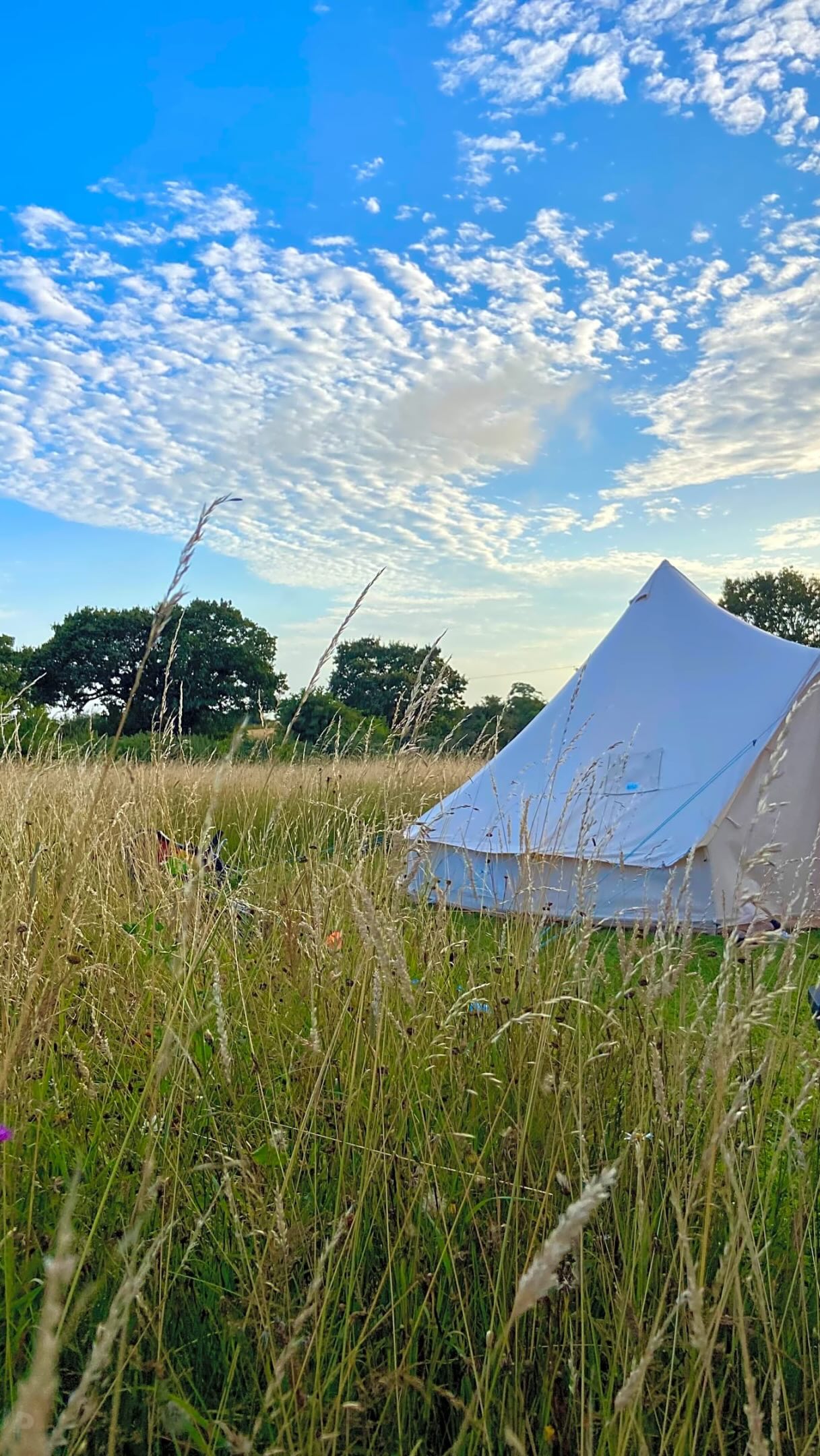 Your nervous system called… it wants this 🌿
Fresh countryside air.
Trees moving in the breeze.
Slow mornings surrounded by nature.
A place to properly switch off for a while.
✨ Spacious camping pitches
✨ Peaceful Norfolk countryside
✨ Minutes from Mundesley beach
✨ Dog friendly
✨ Fire pits welcome
Sometimes the best reset is simply being outdoors.
2026 bookings now open via the link in our bio 👀