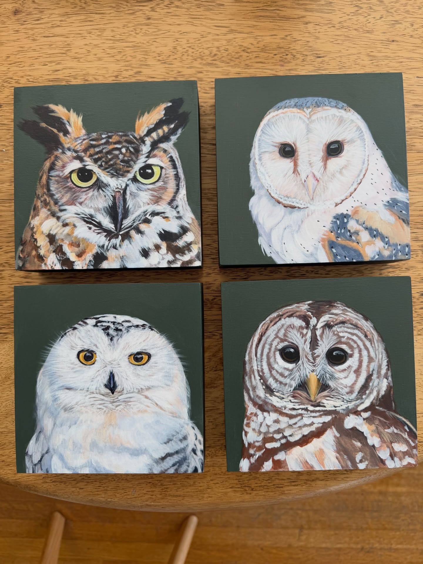 Owls! Painted loosely but realistic, I had so much fun painting this set of owls you can find here in the PNW (although snowy owls are rare; they do visit!). I’ve been working on small paintings while bigger ideas have been marinating as I start thinking of new work to create for upcoming shows 😃. I’m still learning my creative process and what works best for me (and likely always will!). It’s so important to me that, even if I struggle, I find ways to love every step and what works best for me so I never loose the way my heart feels towards creating 💗. Hope everyone has a great week! I’ll be at Capers this Thursday (May 14th) for West Seattle Art Walk if you want to come by and say hi 😊