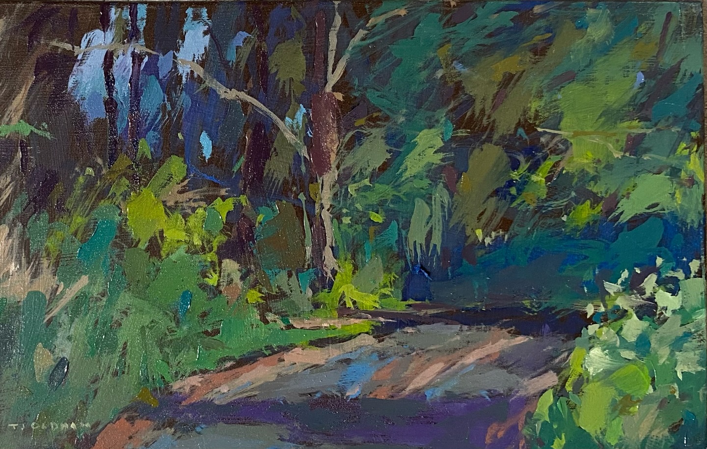 This is looking down Isaac’s rd from today. There was something about the shadows and the lovely greens and the holes through the trees where the sky can be seen.. I think I’m falling in love with green at the moment.. this new life happening everywhere is contagious!
#enpleinair #greensoflife #spring #coloursofgreen