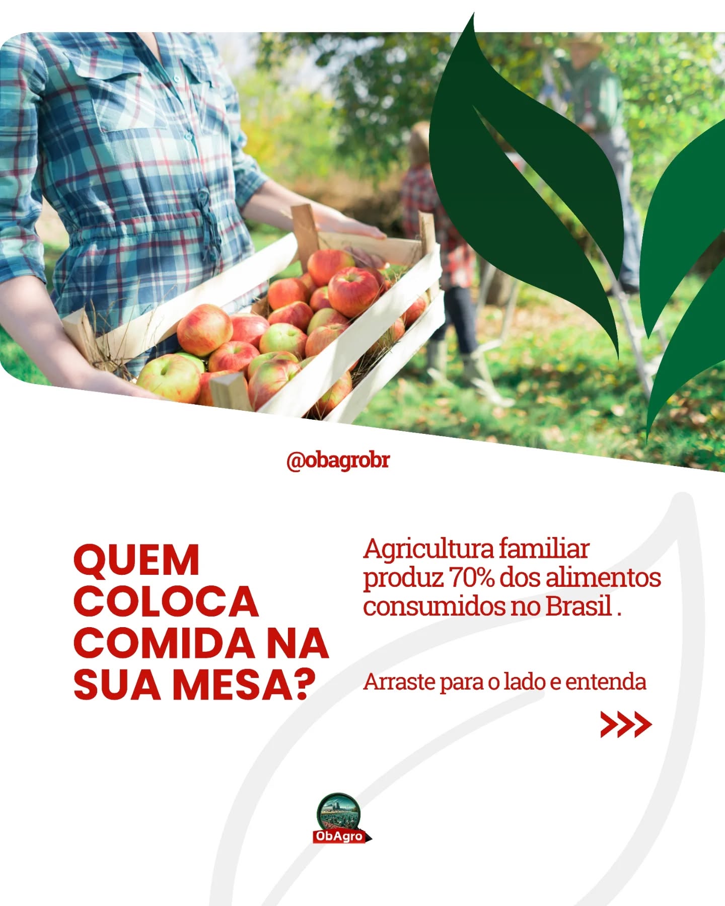 A agricultura familiar tem um papel importante na produção de alimentos no Brasil e está diretamente ligada ao que chega à mesa da população.
Em muitas regiões, como no município de Castro (PR), esses produtores também contribuem para melhorar a qualidade da alimentação escolar, com alimentos mais frescos e produzidos localmente.
Mas existe um ponto que precisa entrar na conversa: falar sobre alimentação também é falar sobre quem produz.
👉 No perfil do ObAgro você encontra conteúdos sobre saúde do trabalhador no agronegócio.
👉 Você já tinha pensado nisso?
Conta aqui nos comentários e compartilhe com quem precisa ver isso.
📚 Fonte: G1. Agricultura familiar produz alimentos consumidos no Brasil e melhora qualidade da alimentação escolar em Castro (PR).
#agriculturafamiliar #alimentacaosaudável #organico #agricultura #obagrobr