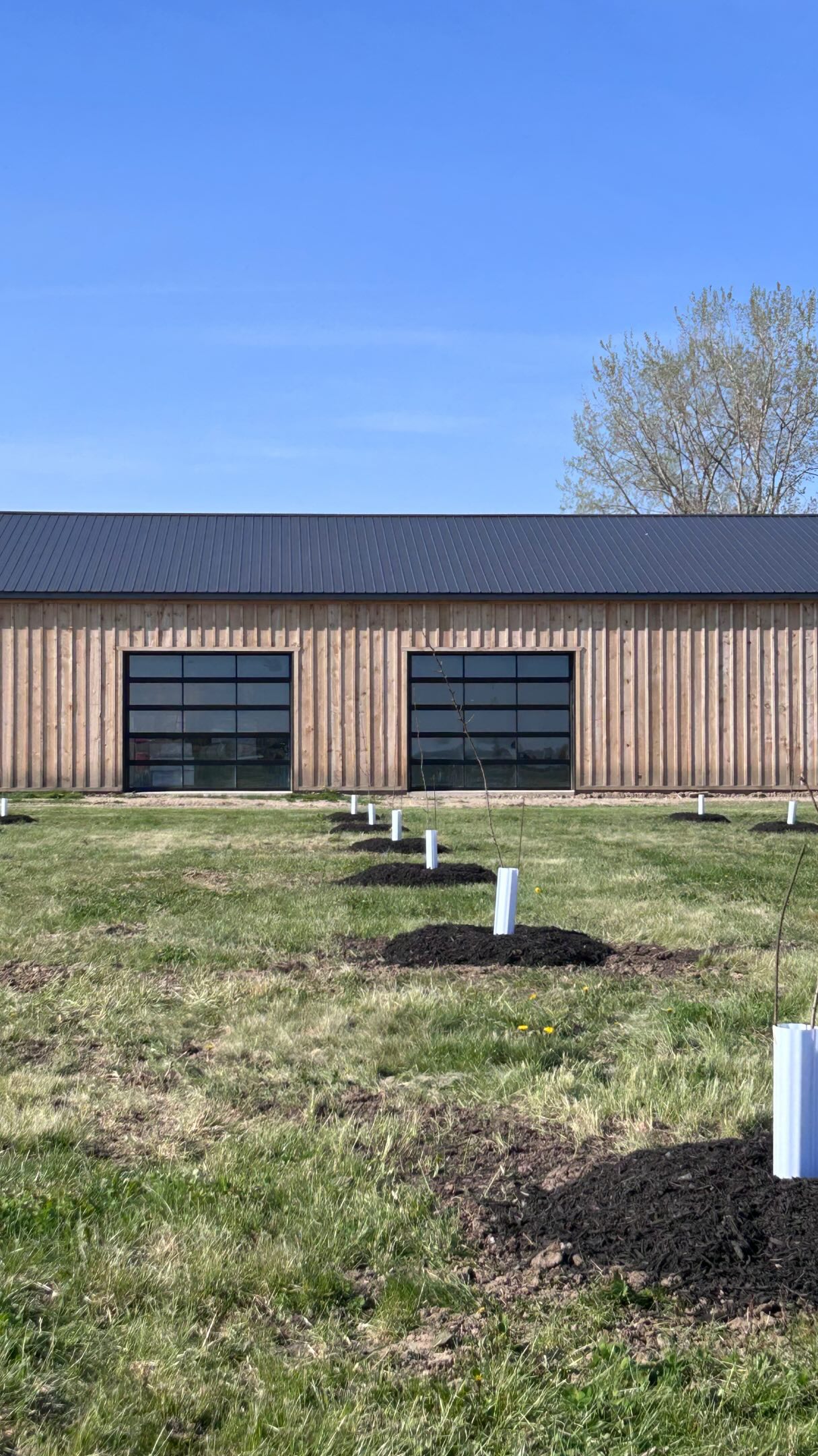 We’re getting closer to the finish line of our retail room project ✨
The vision is coming together piece by piece 🧩
Stay tuned for the final reveal of our tasting room 🍷
#vivacewine #supportlocal #vineyard